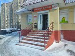 Mnogolap (Starostina Street, 87), pet shop