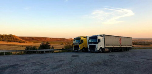 Шетелдіктермен жыныстық қатынас мультфильмдері