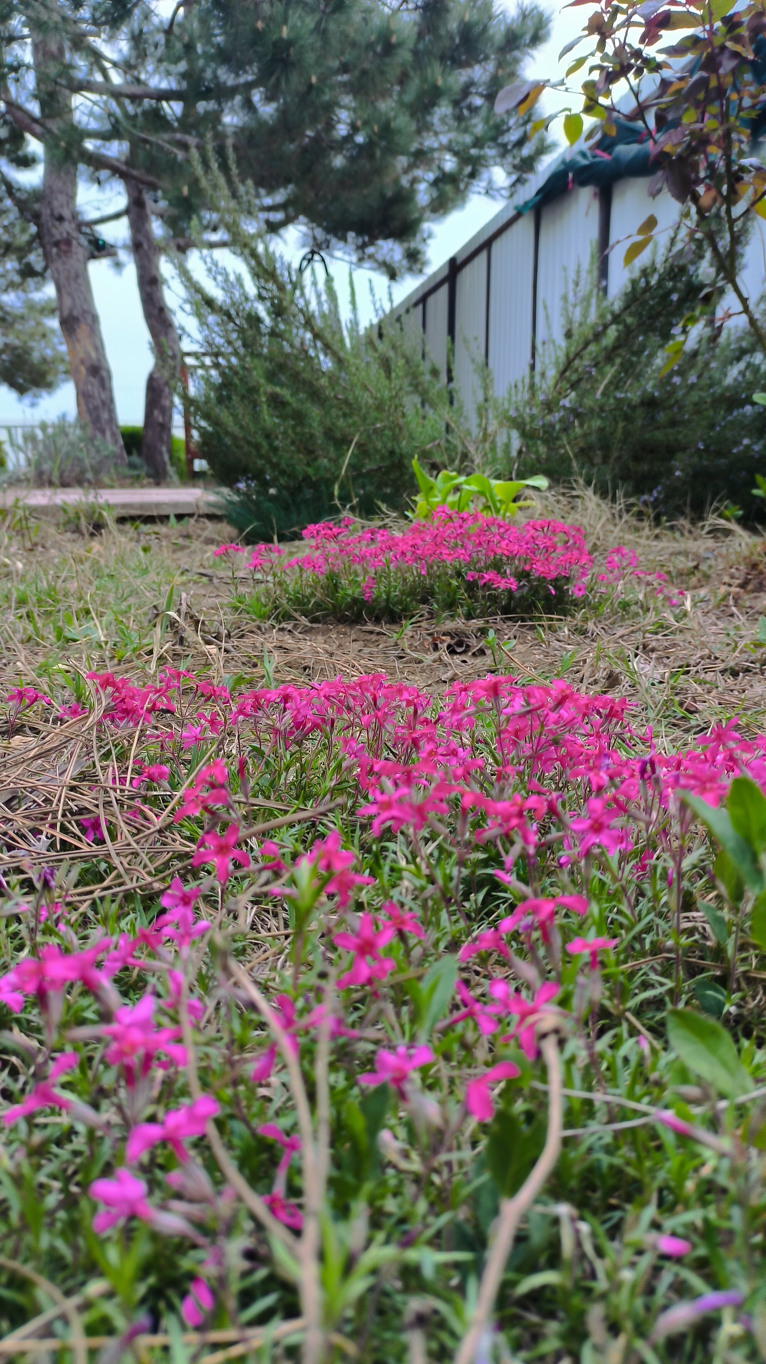 Фото На море