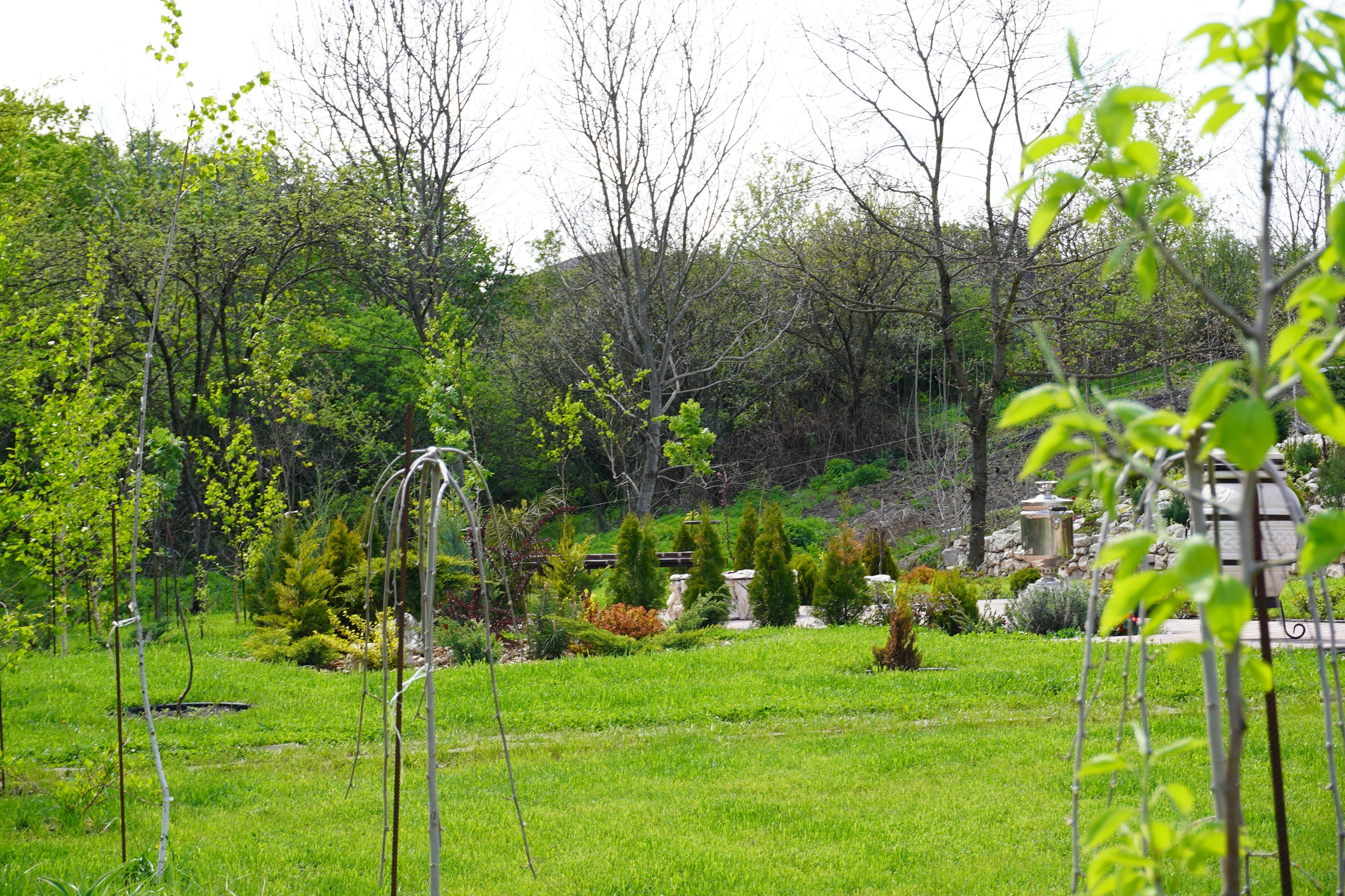 Фото Теремок271