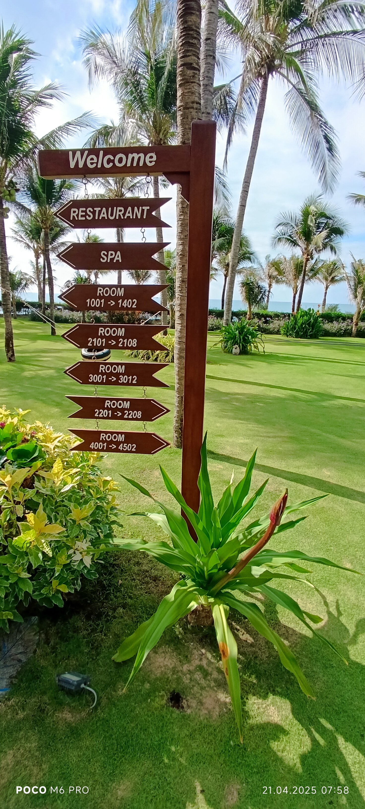 Фото Sunny Beach Resort