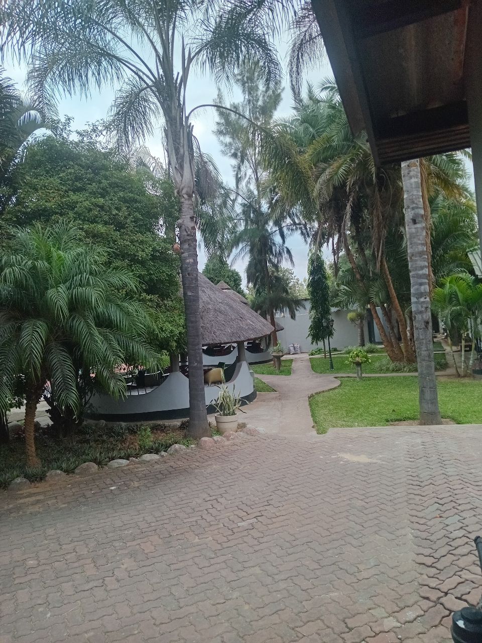 Фото Acamms Lodge Roma