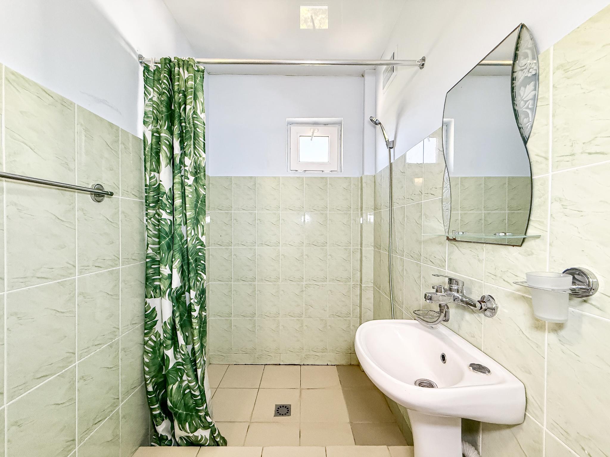 Фото Дружба