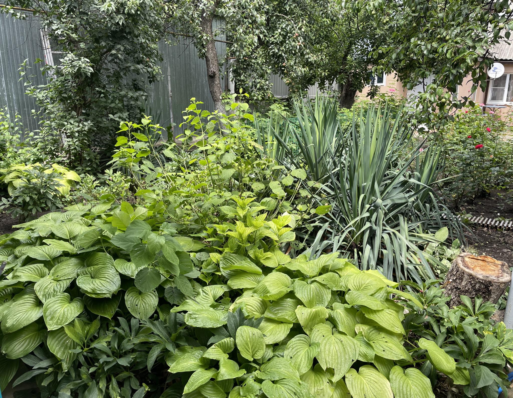 Фото Гостевой дом на Интернациональной 16