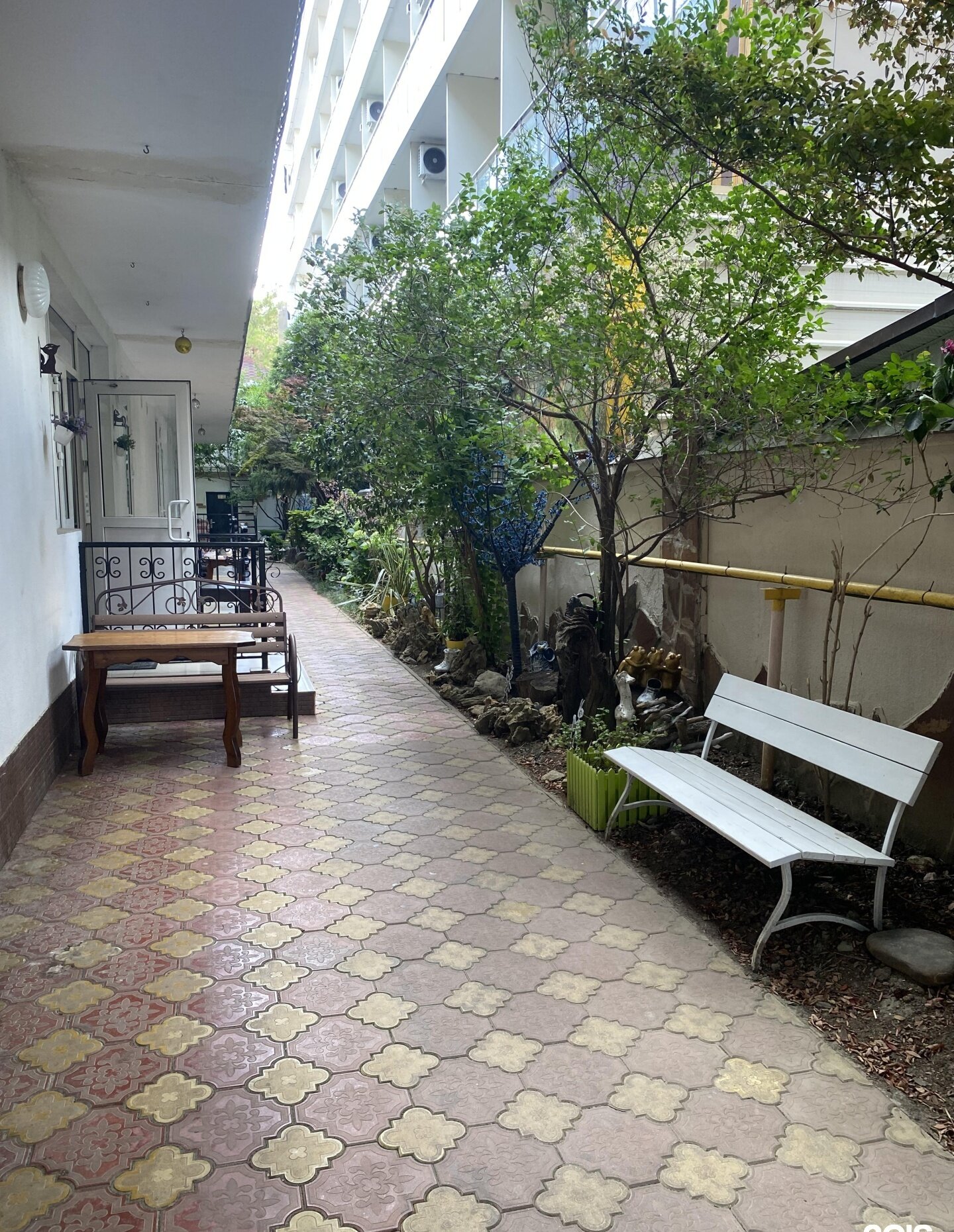 Фото Виктория