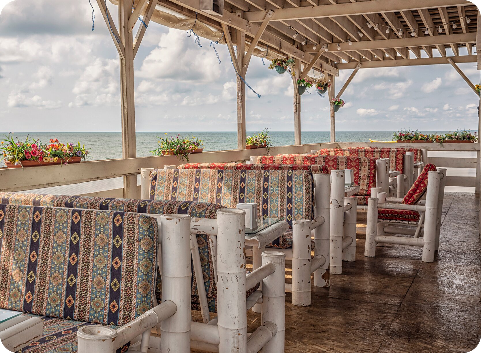 Фото 160789207254