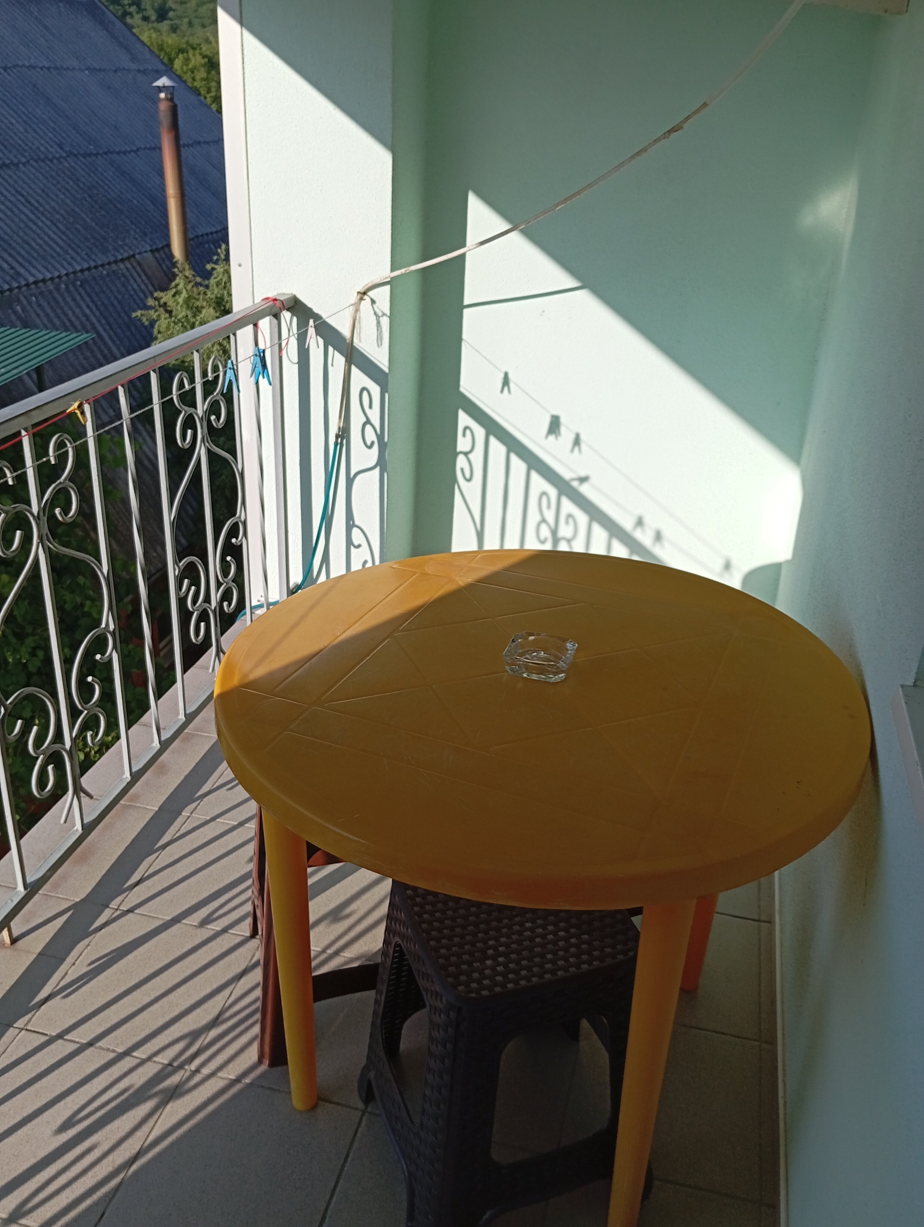 Фото Серебристая Чайка