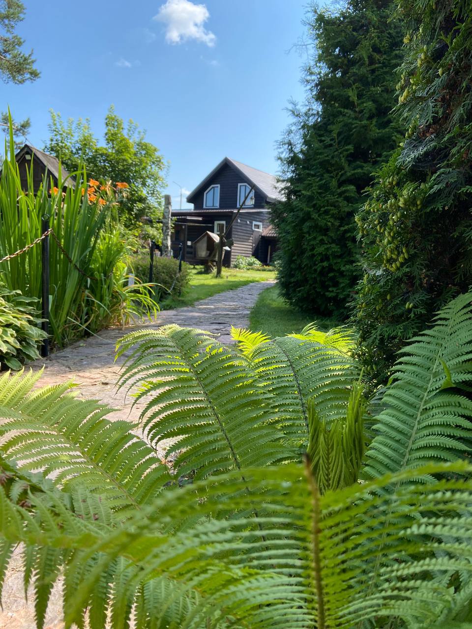 Фото Соляной остров