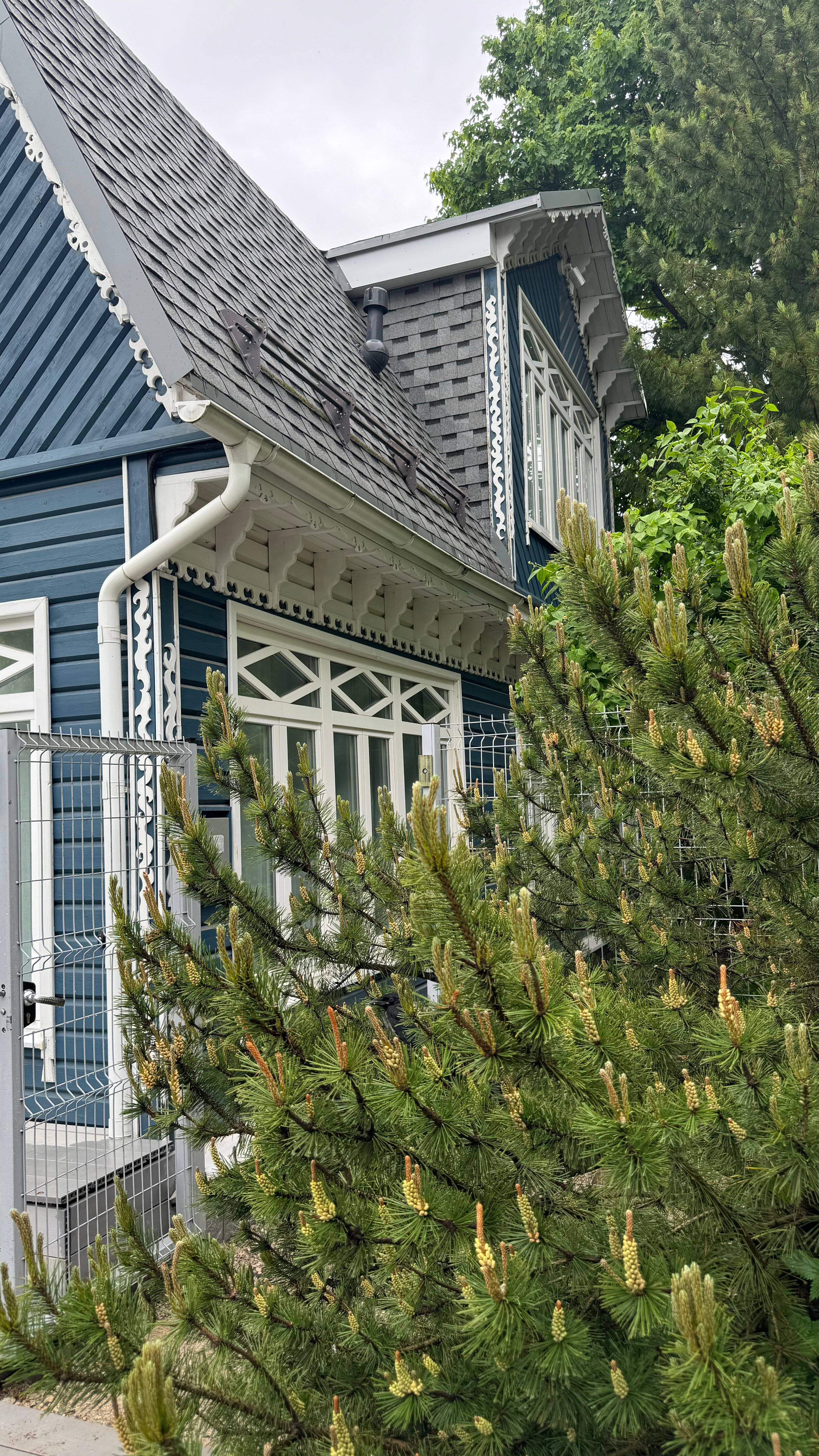 Фото Путь Пилигрима