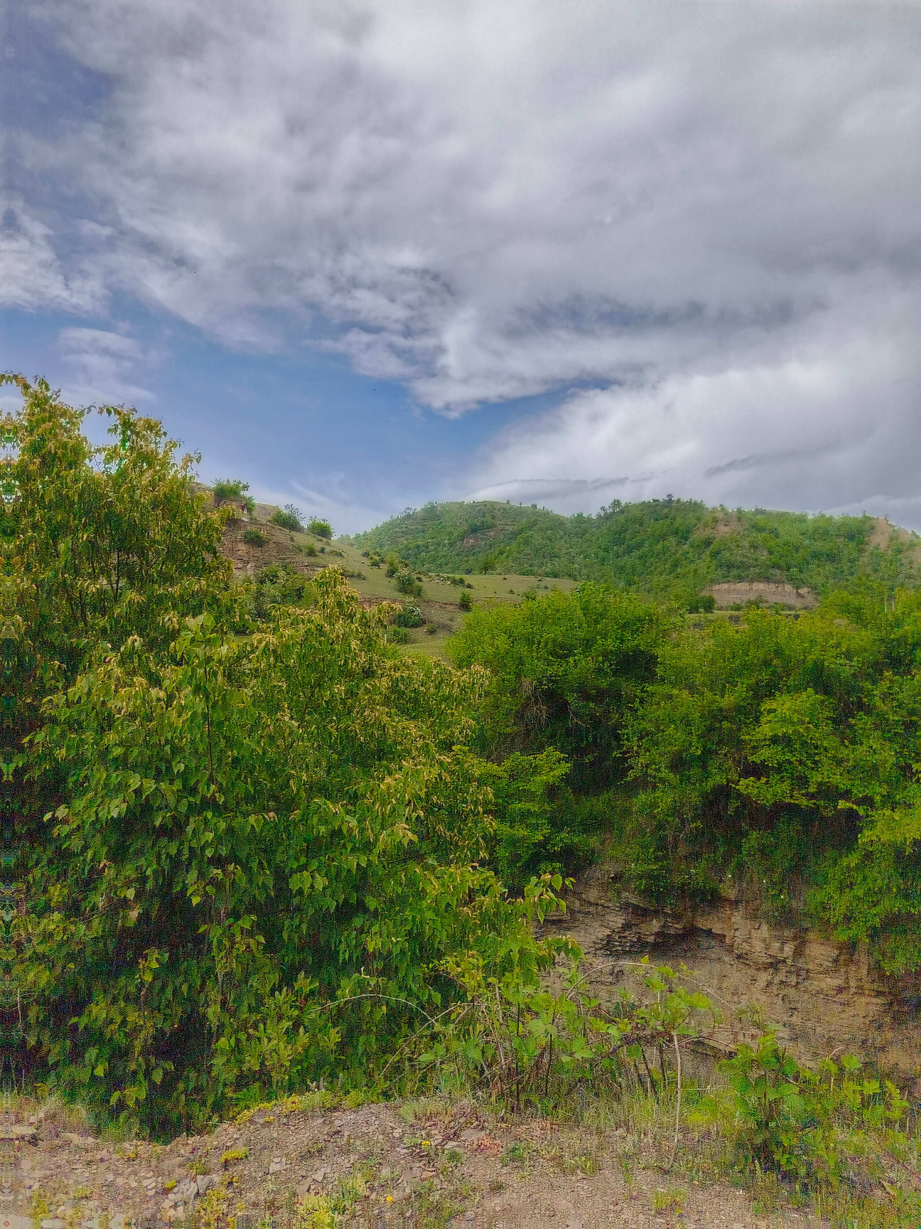 Фото 1000 и 1 Ночь у Океана