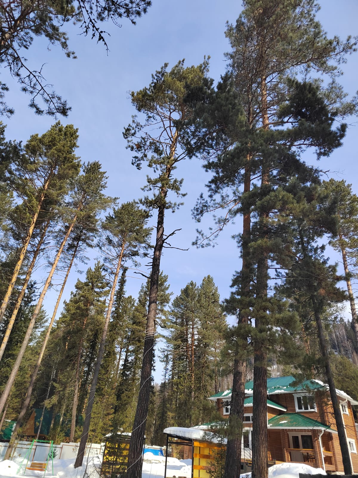 Фото Объятия Бии