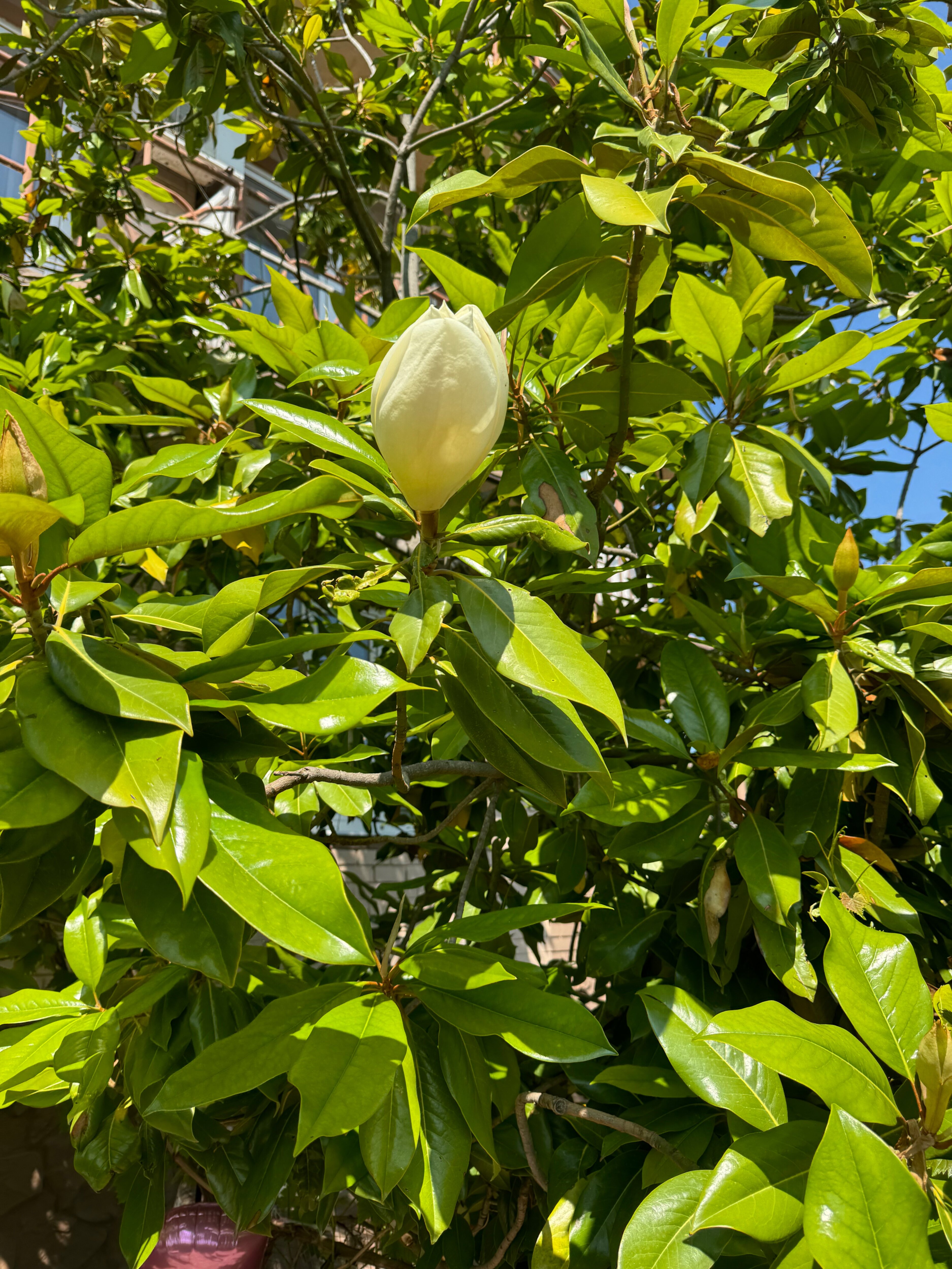 Фото Приморский