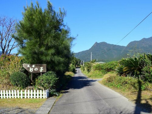 Гостевой дом Yakushima Minsyuku Suginoko