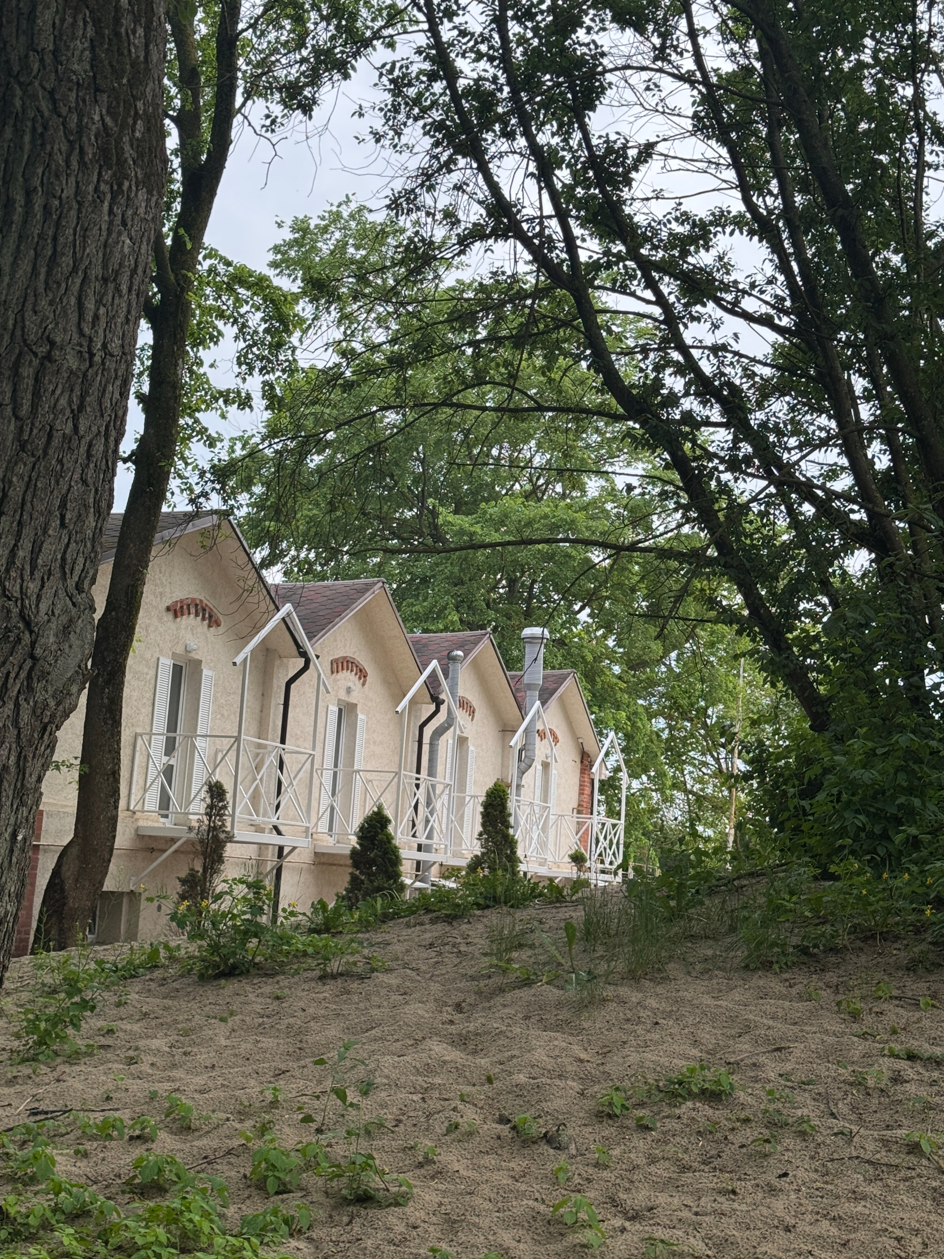 Фото Золотые пески