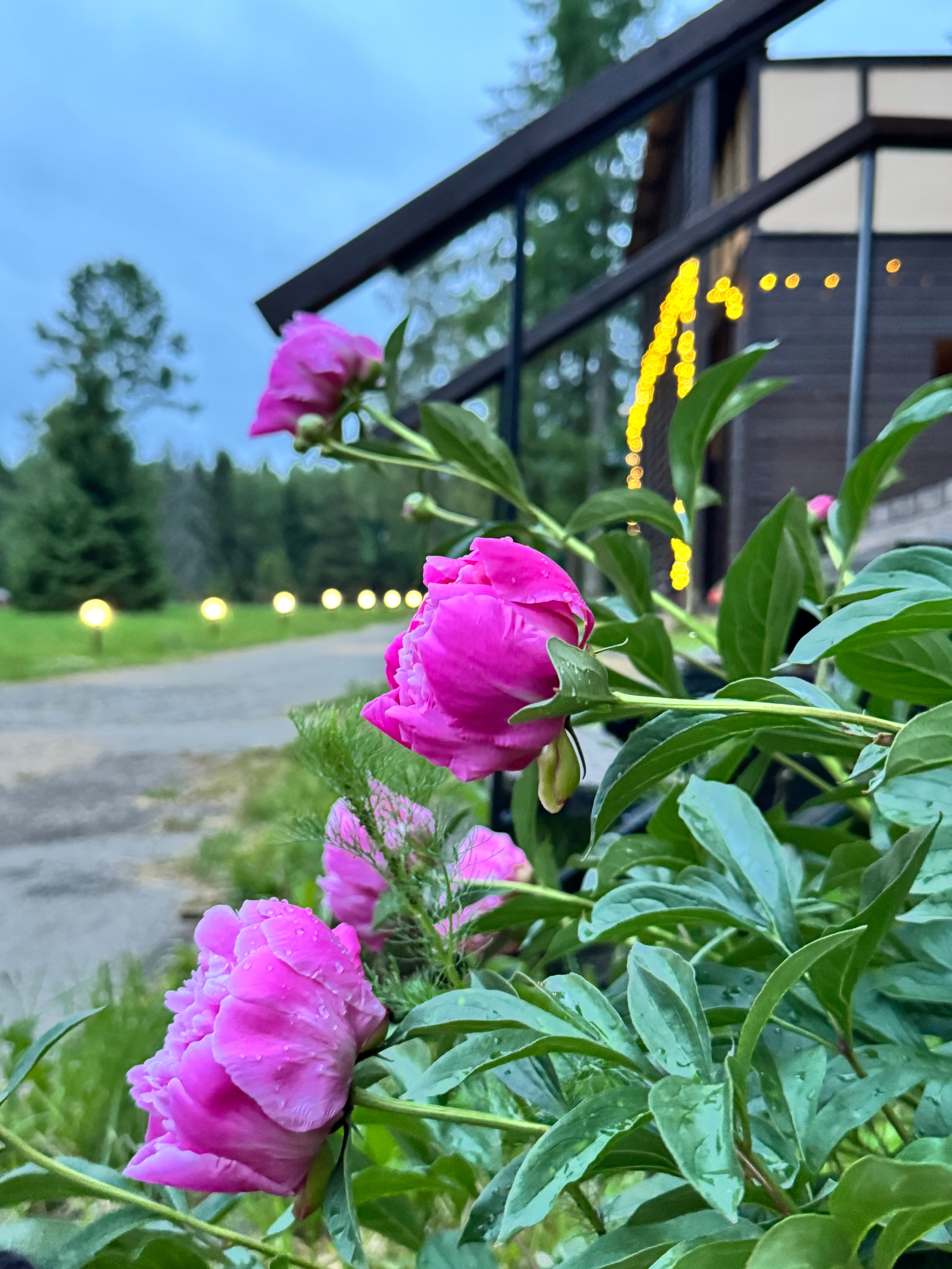 Фото Belikovo Club House