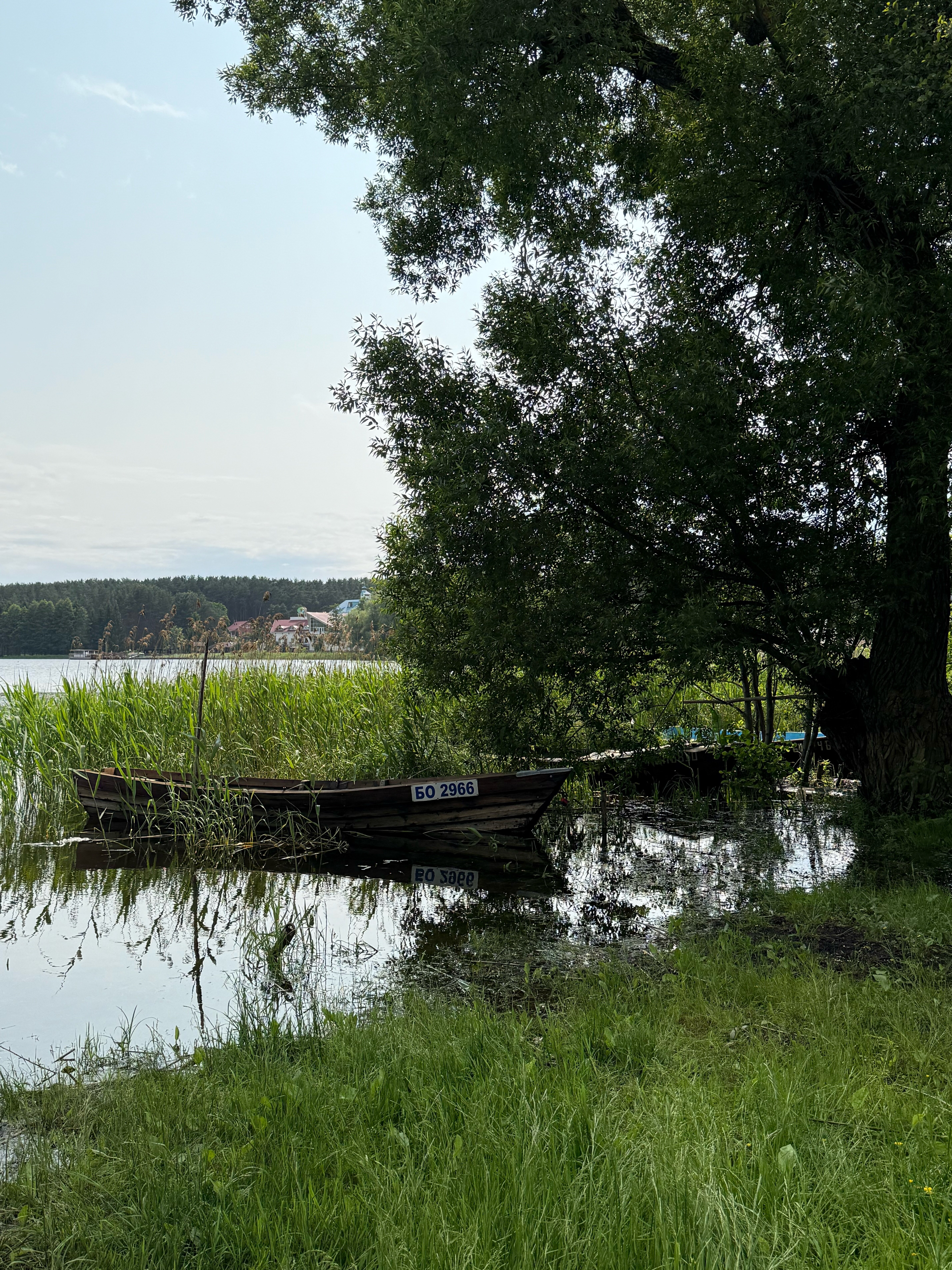 Фото Васпан