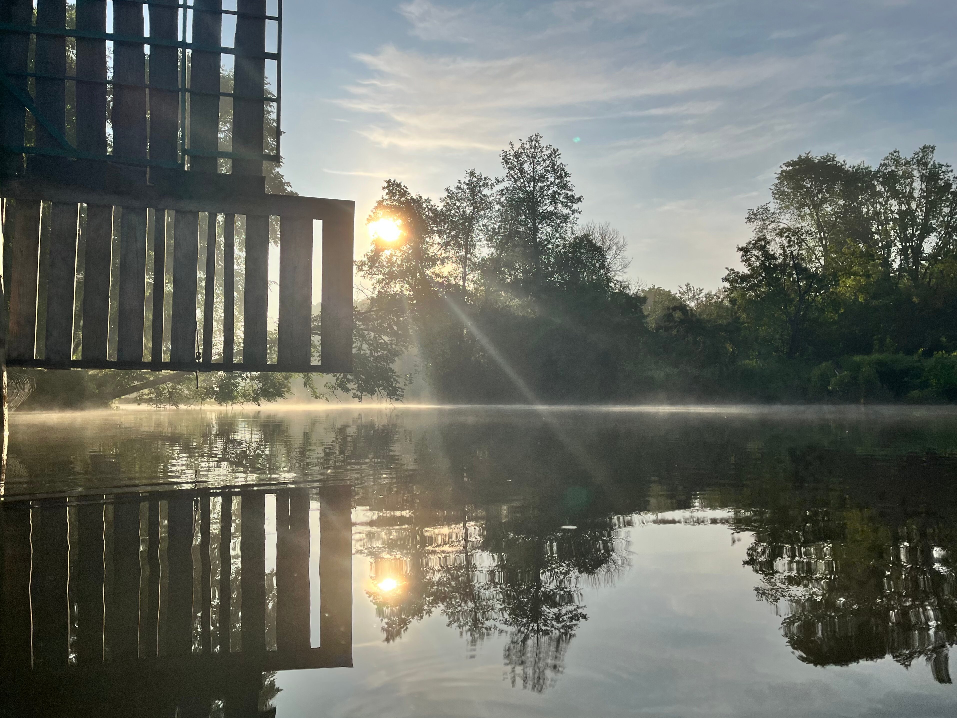 Фото Лесная дача