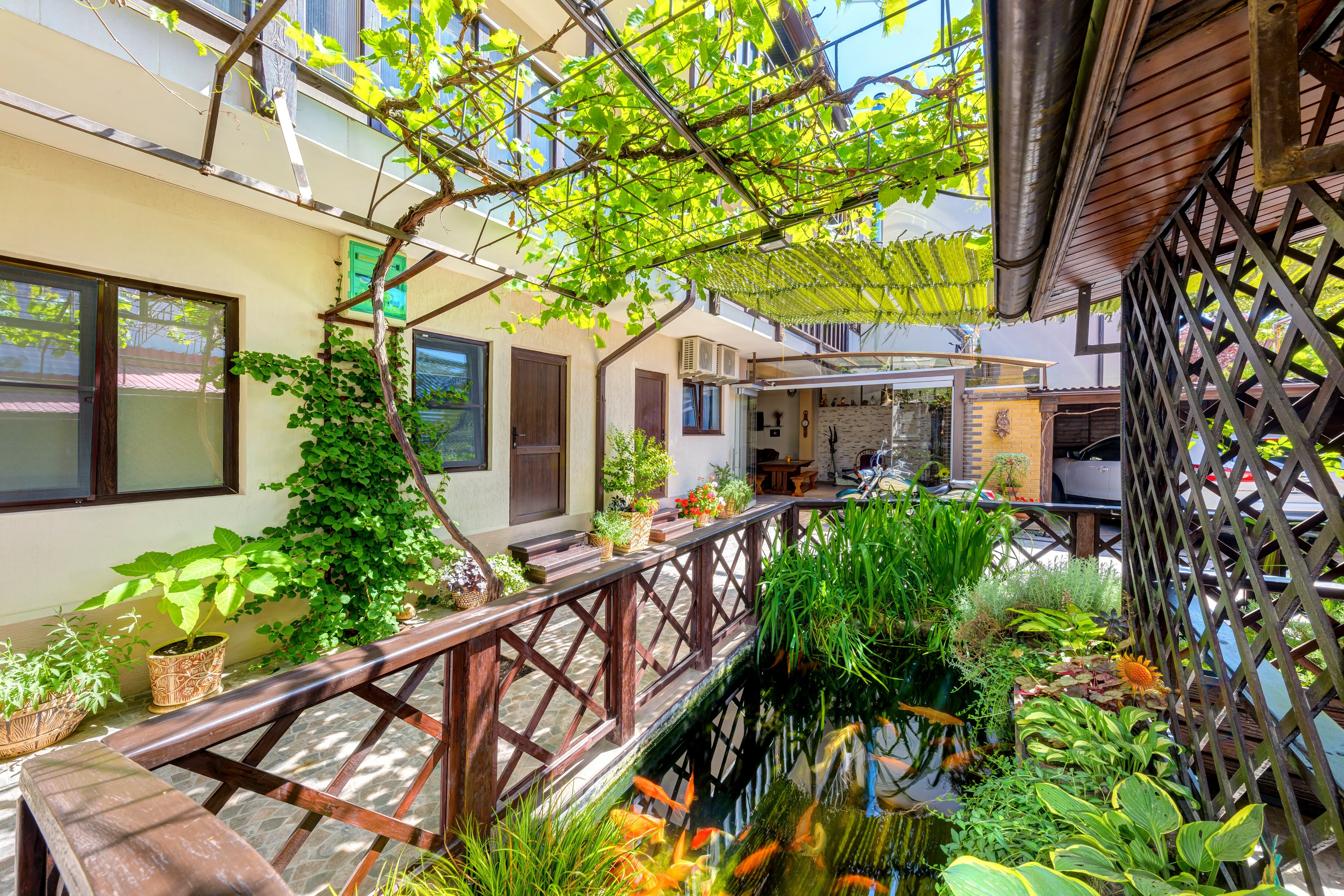 Фото Золотая рыбка