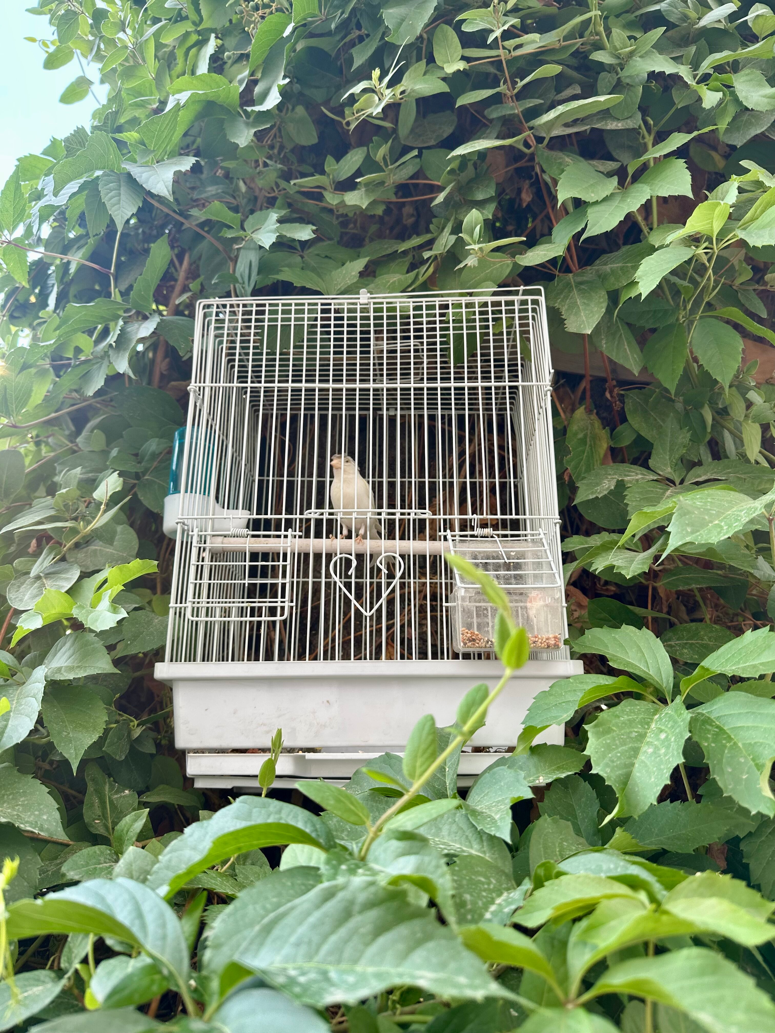 Фото Гранд Караван