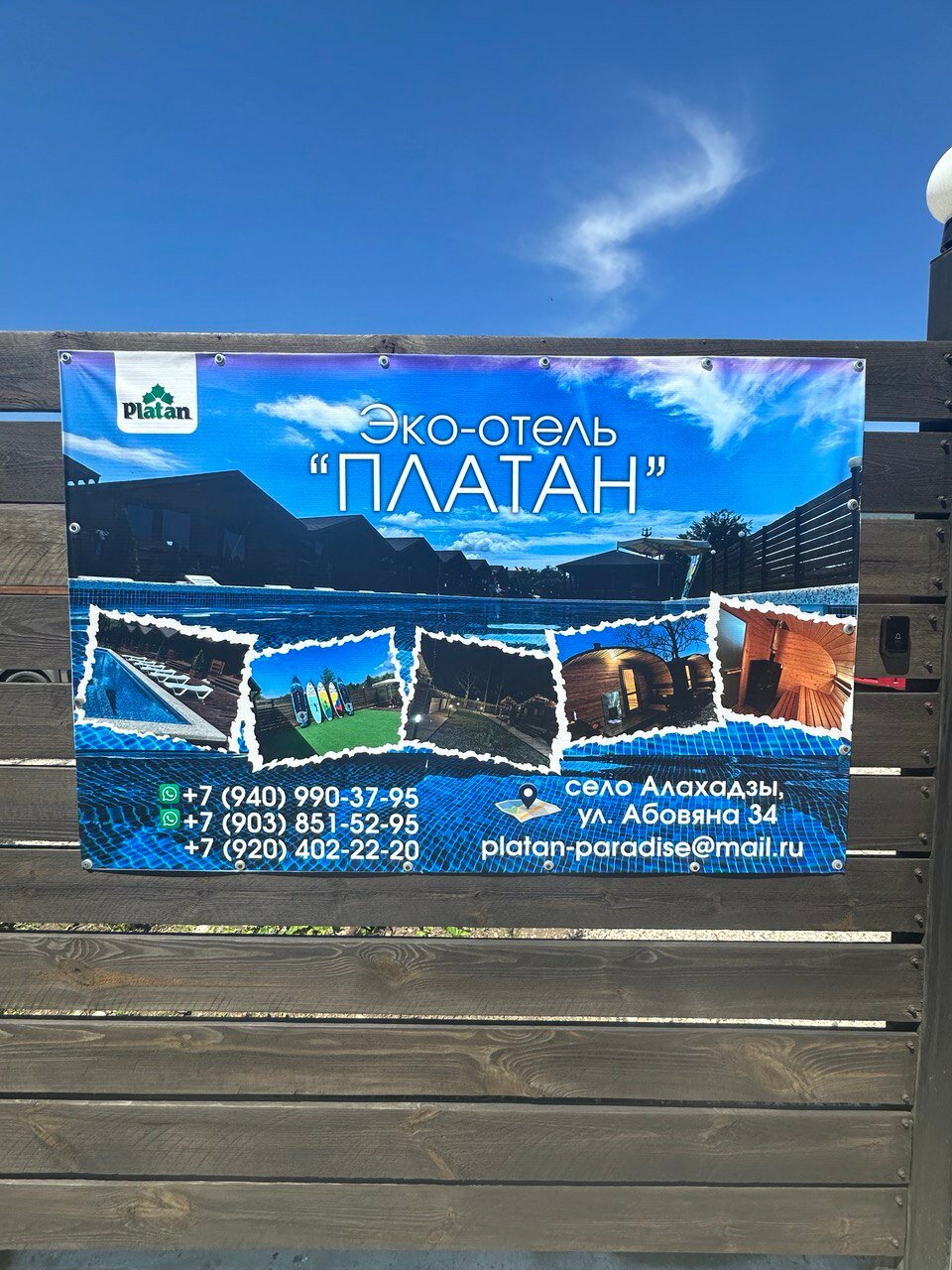 Фото Платан-Paradise