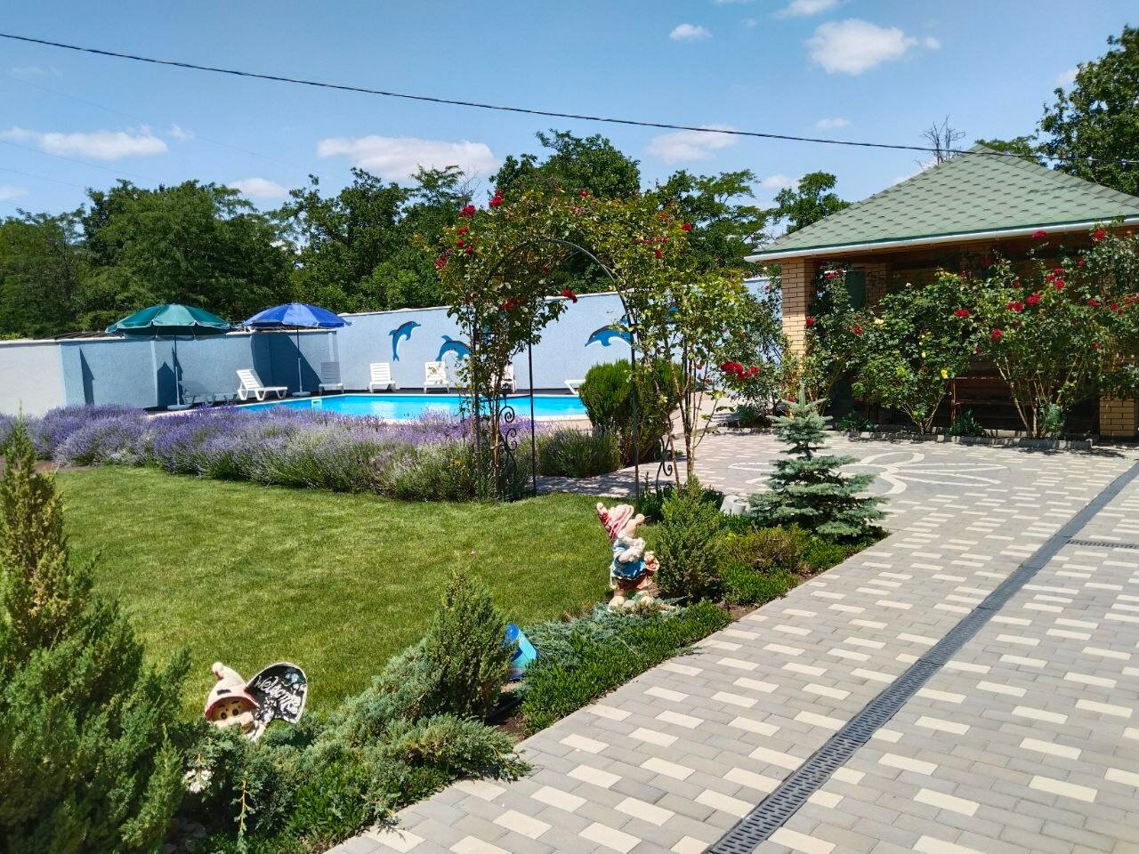 Фото Семицветик