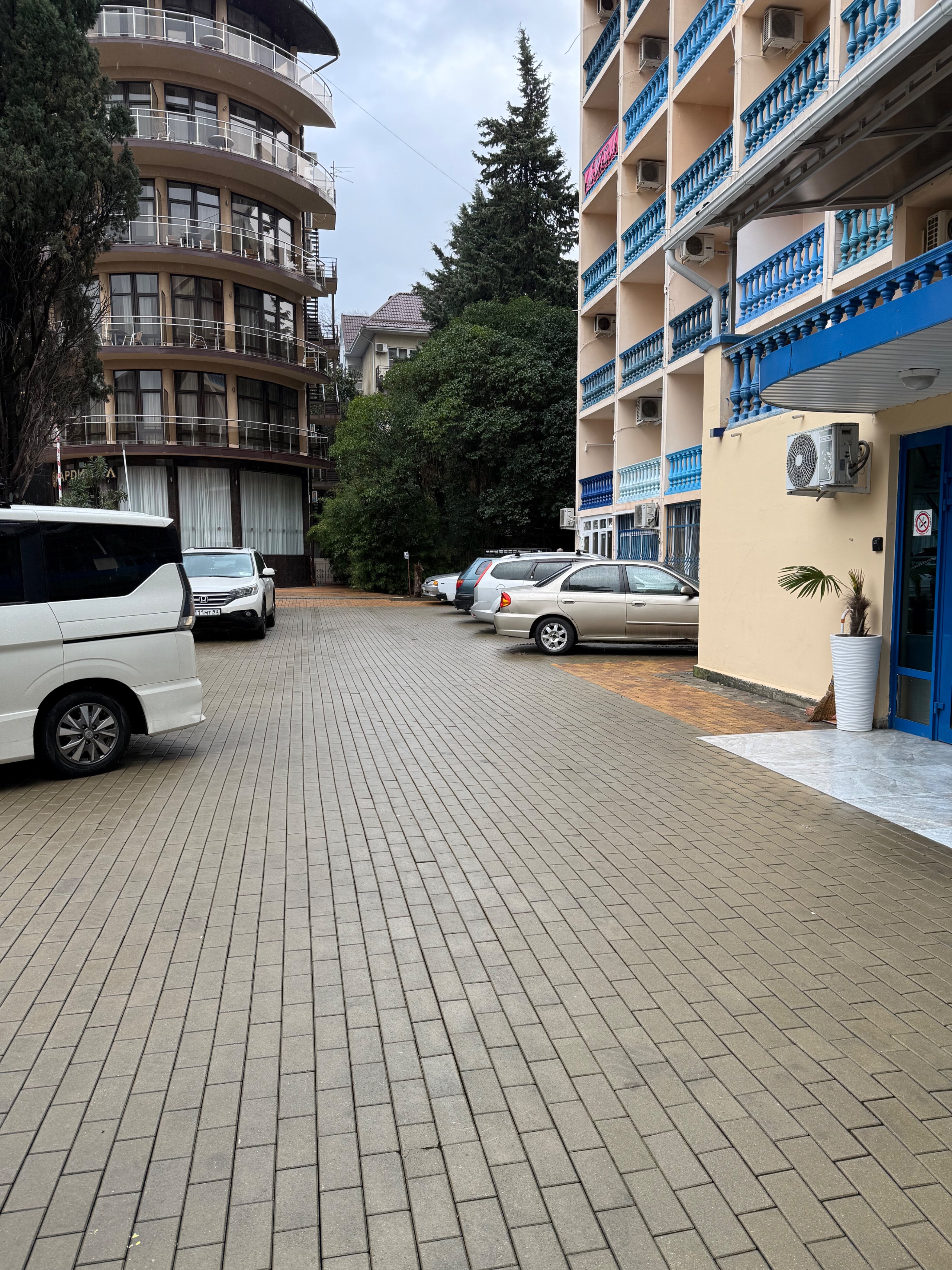 Фото Морская звезда