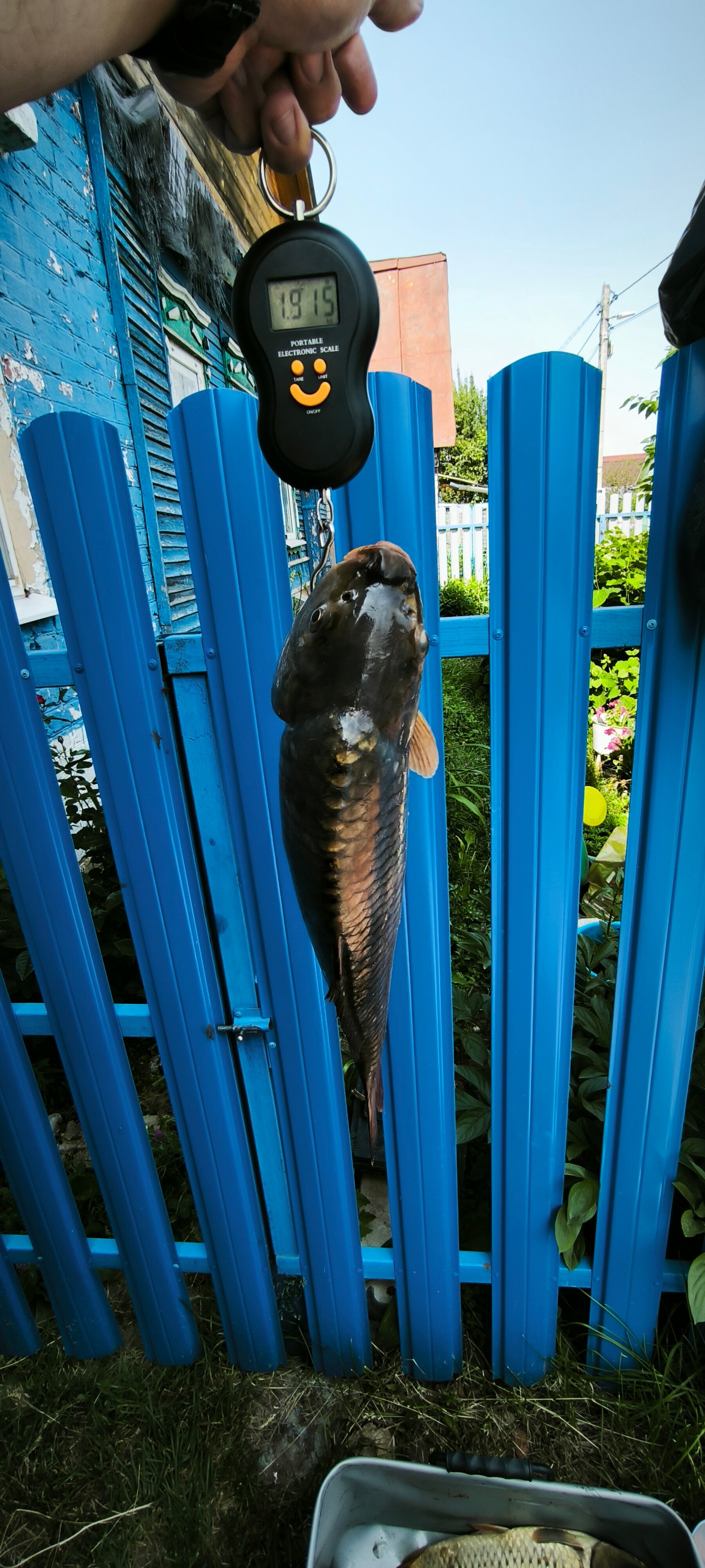 Фото Фишфарм116