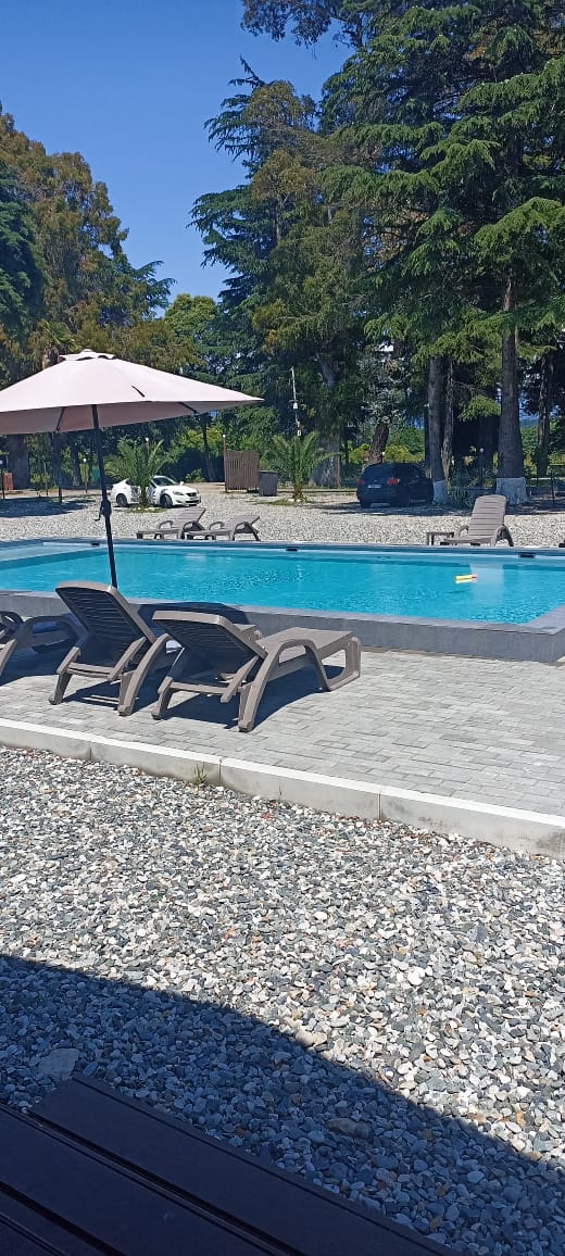 Фото Эвкалипт