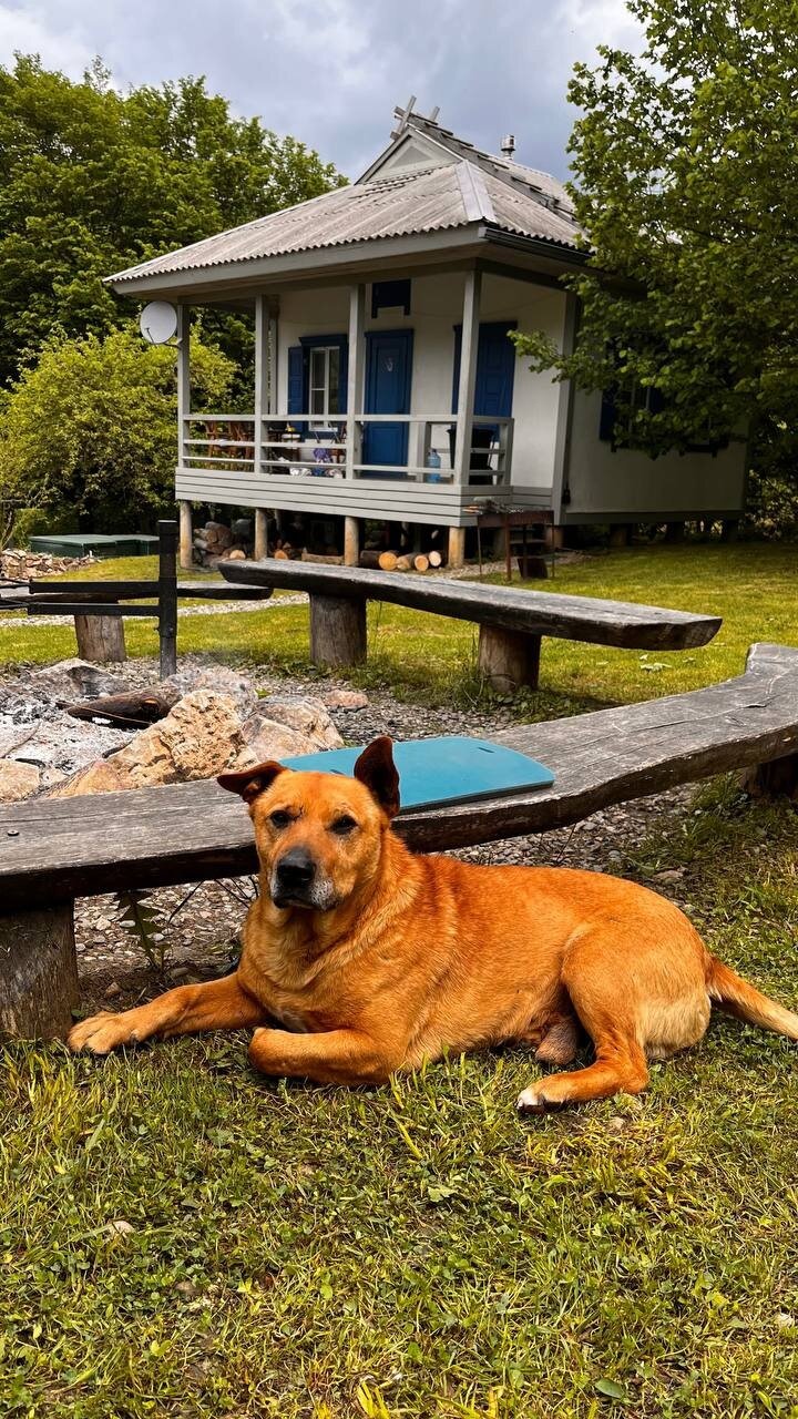 Фото ВиллаЛила