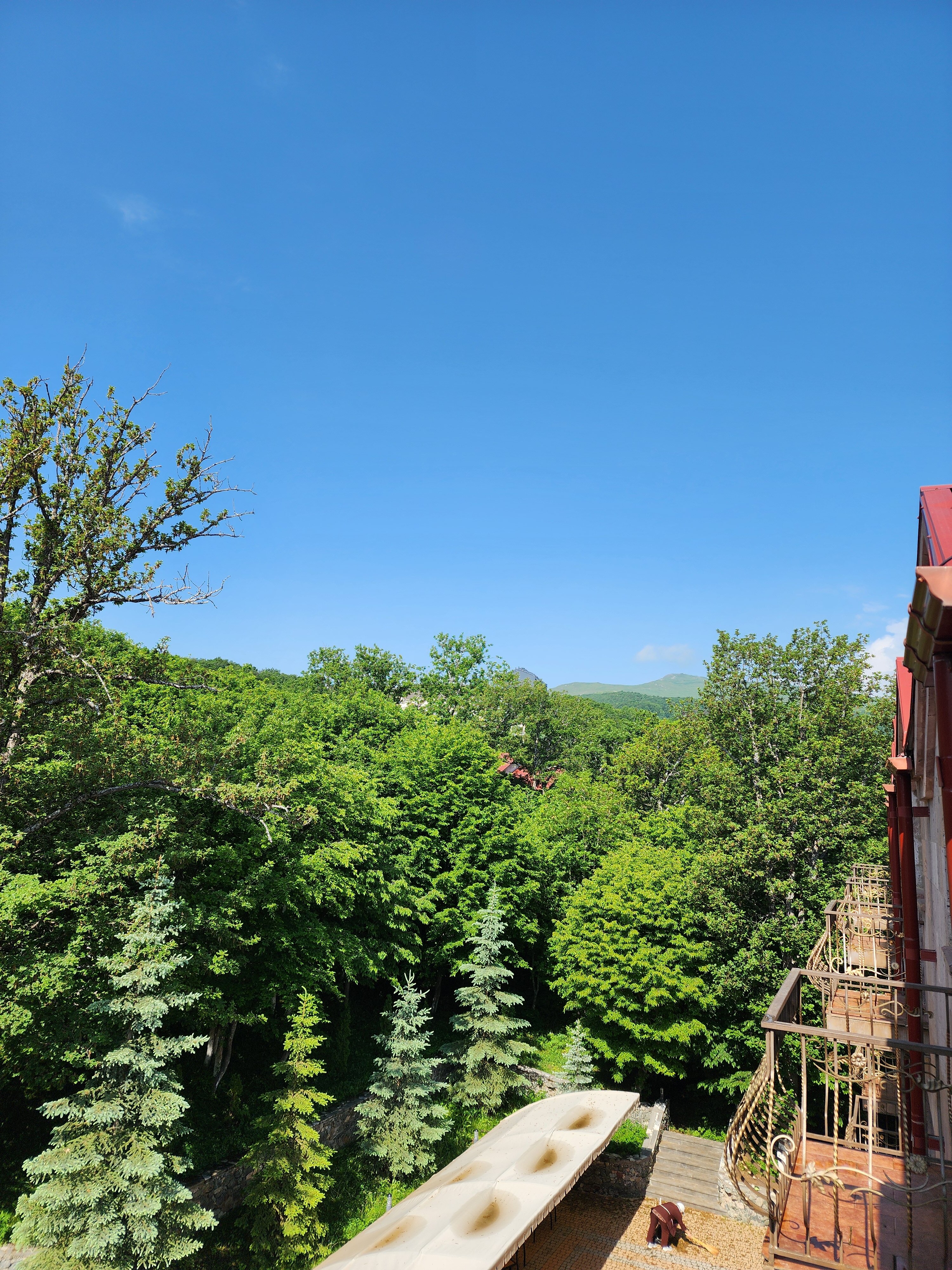 Фото Alpina Resort by Stellar Hotels