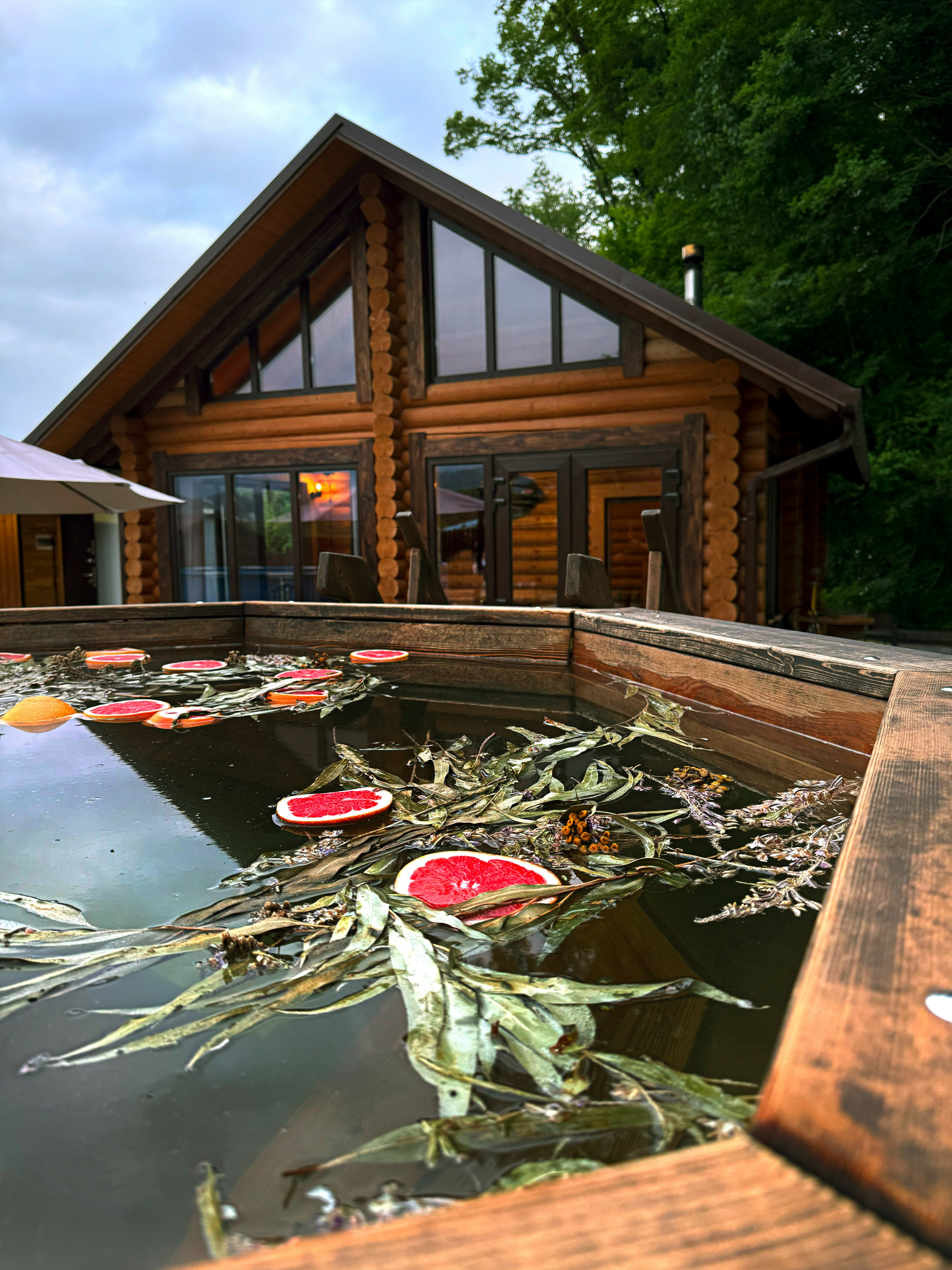 Фото Комаровские Поляны