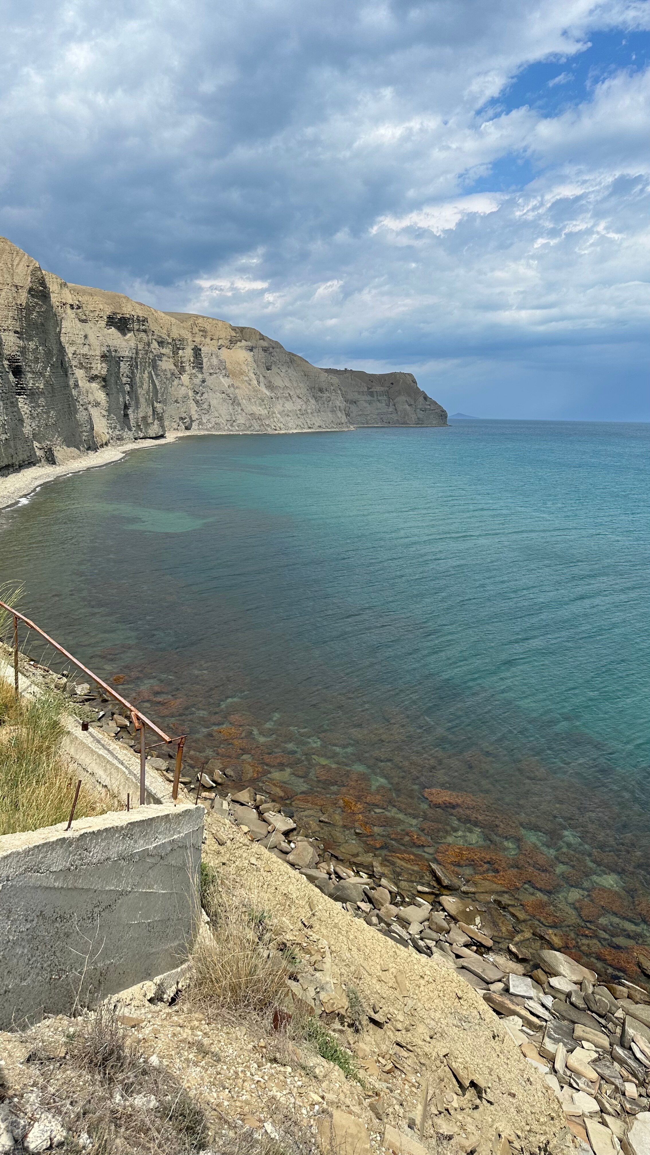 Фото Кипарис