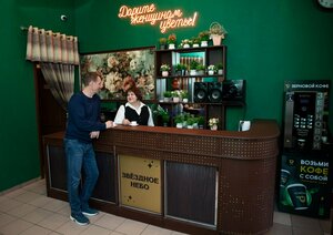 Звёздное небо