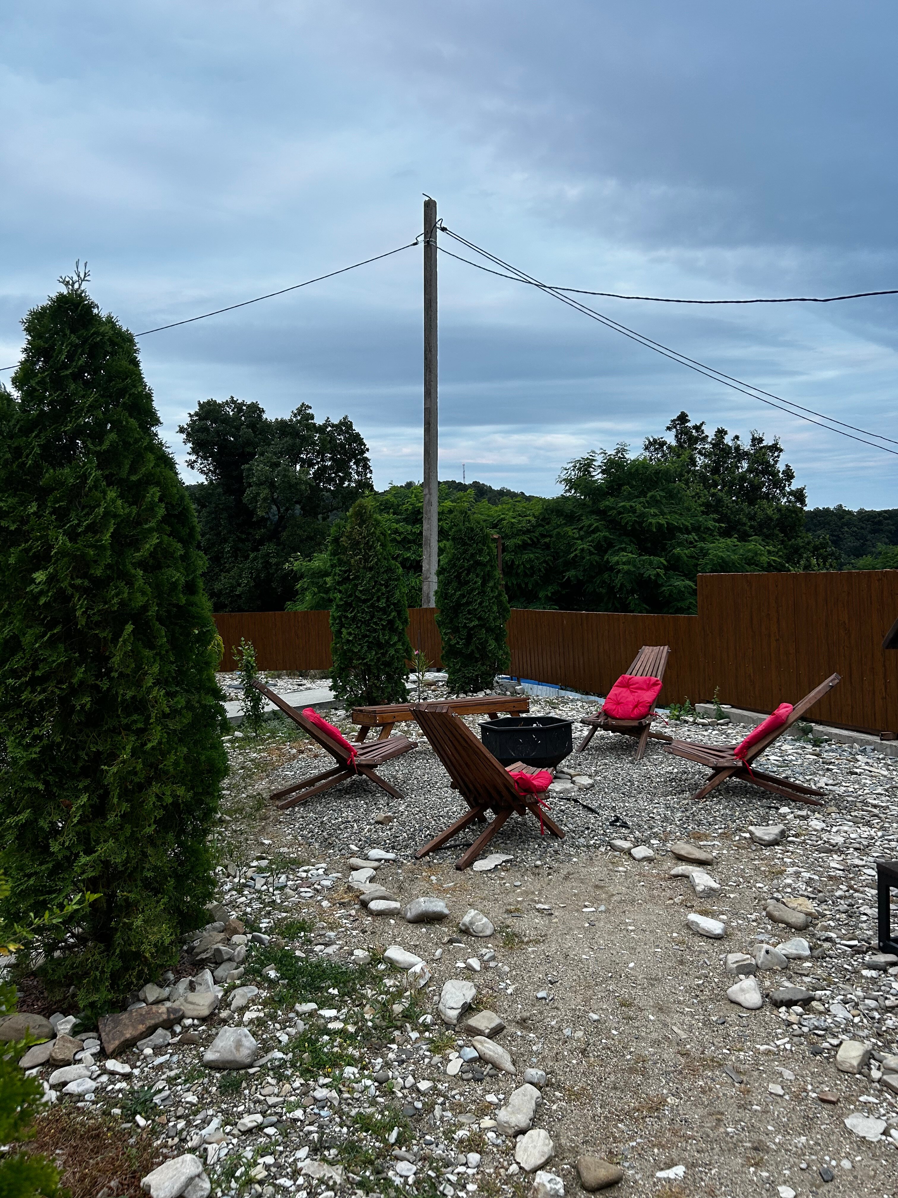 Фото Дельфин