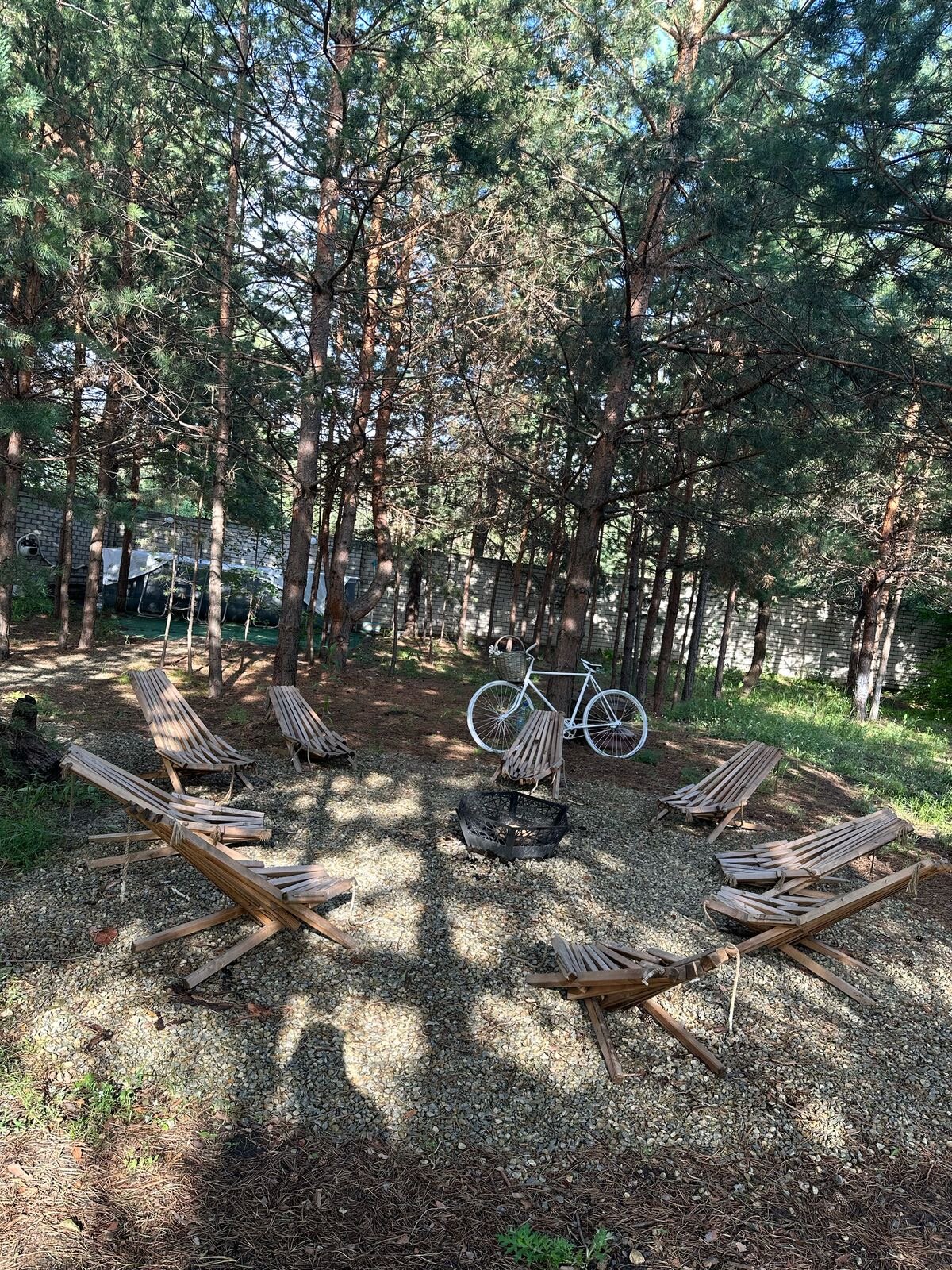 Фото Сосенки