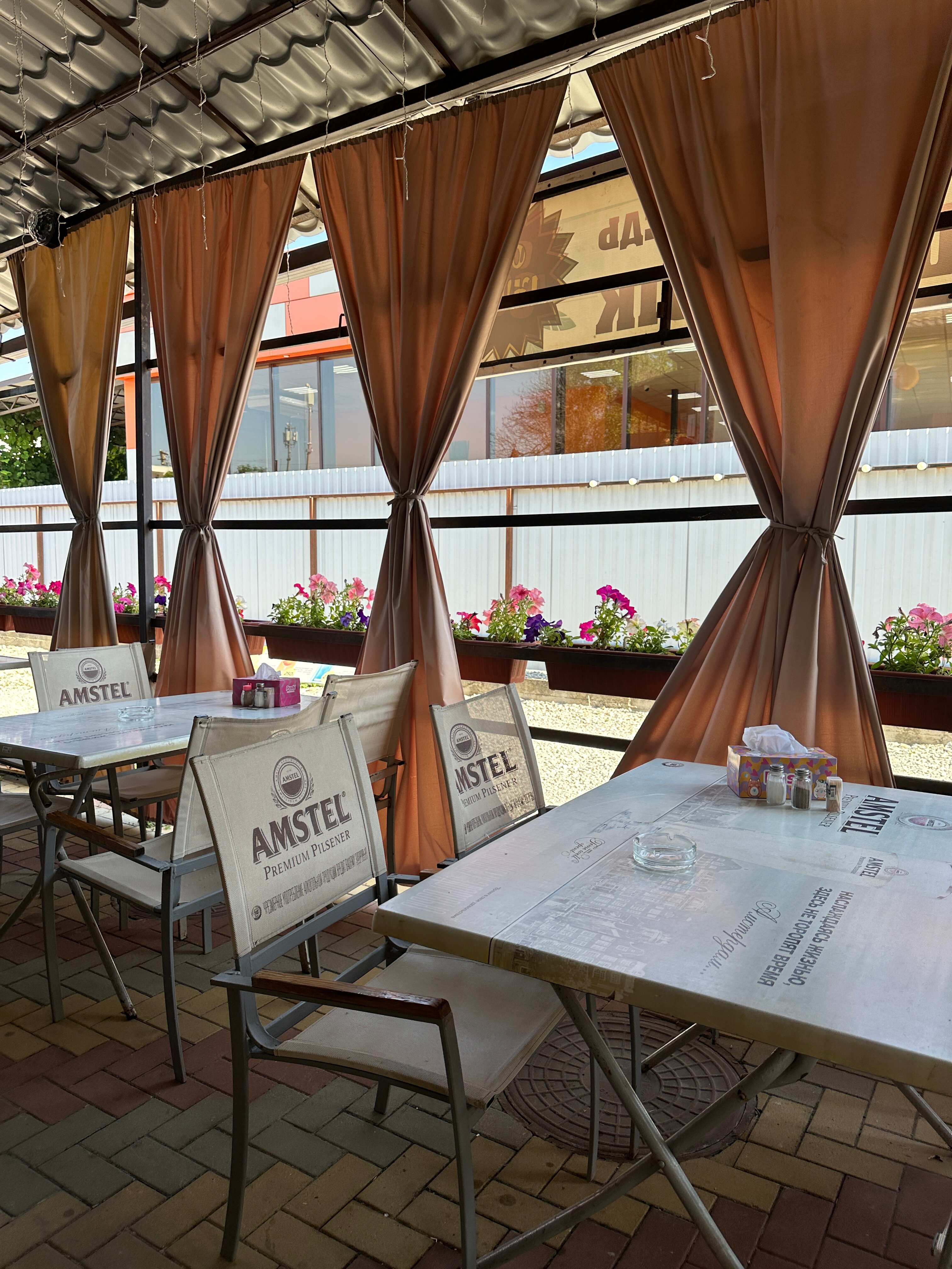 Фото Белый медведь