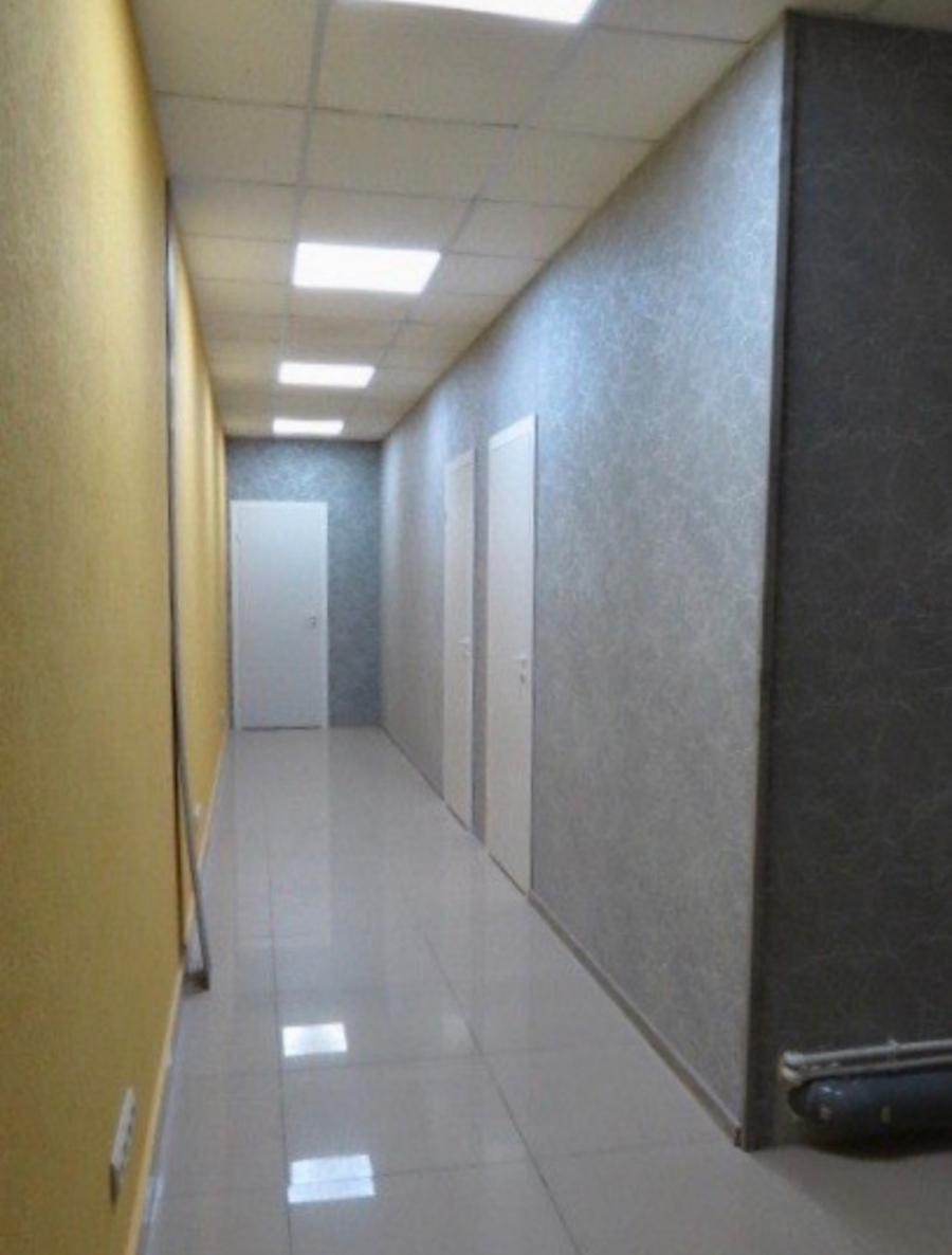 Фото Магнолия