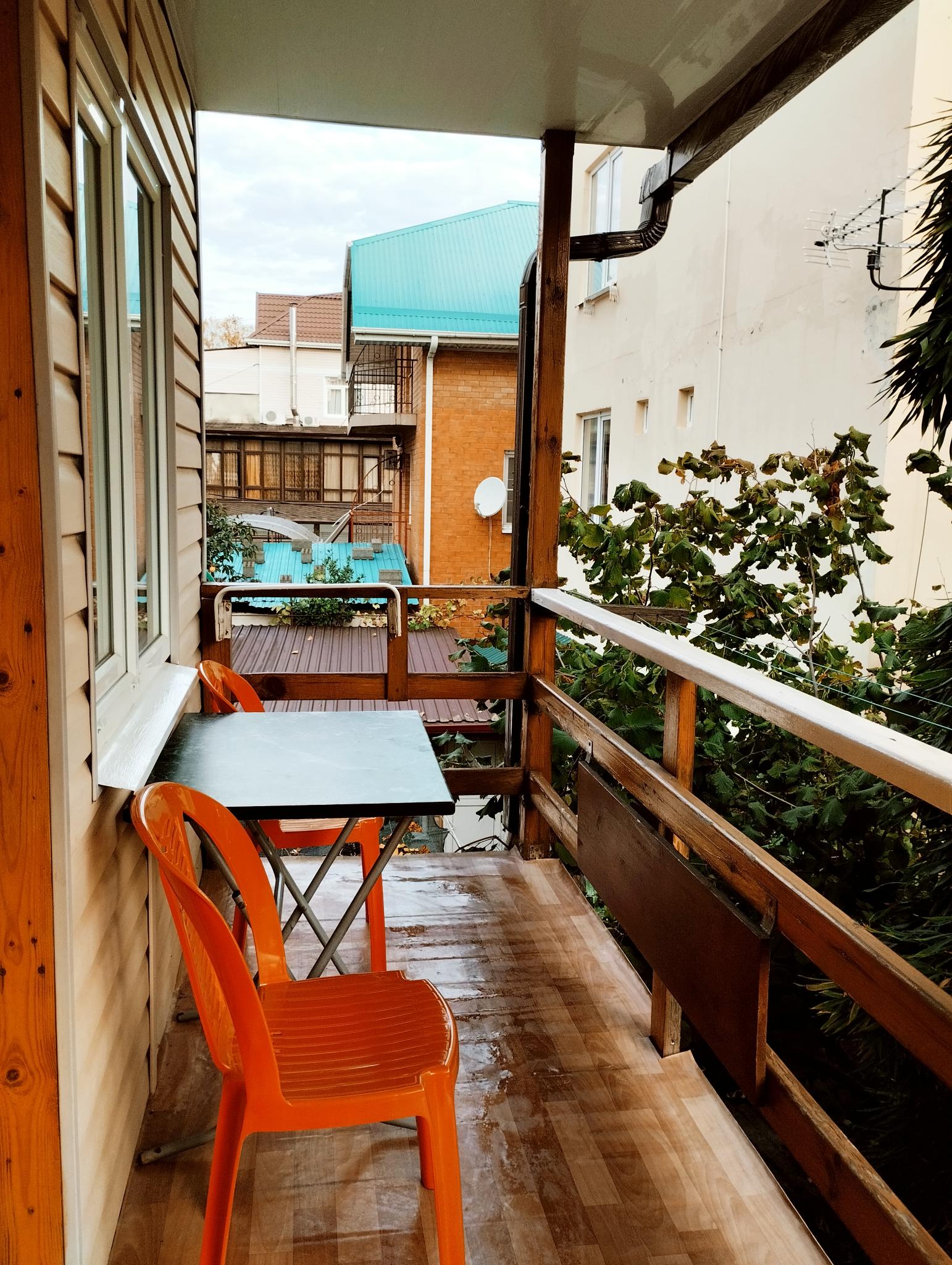 Фото Белый Ирис