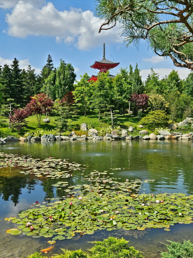 Park Японский сад, Krasnodar, photo