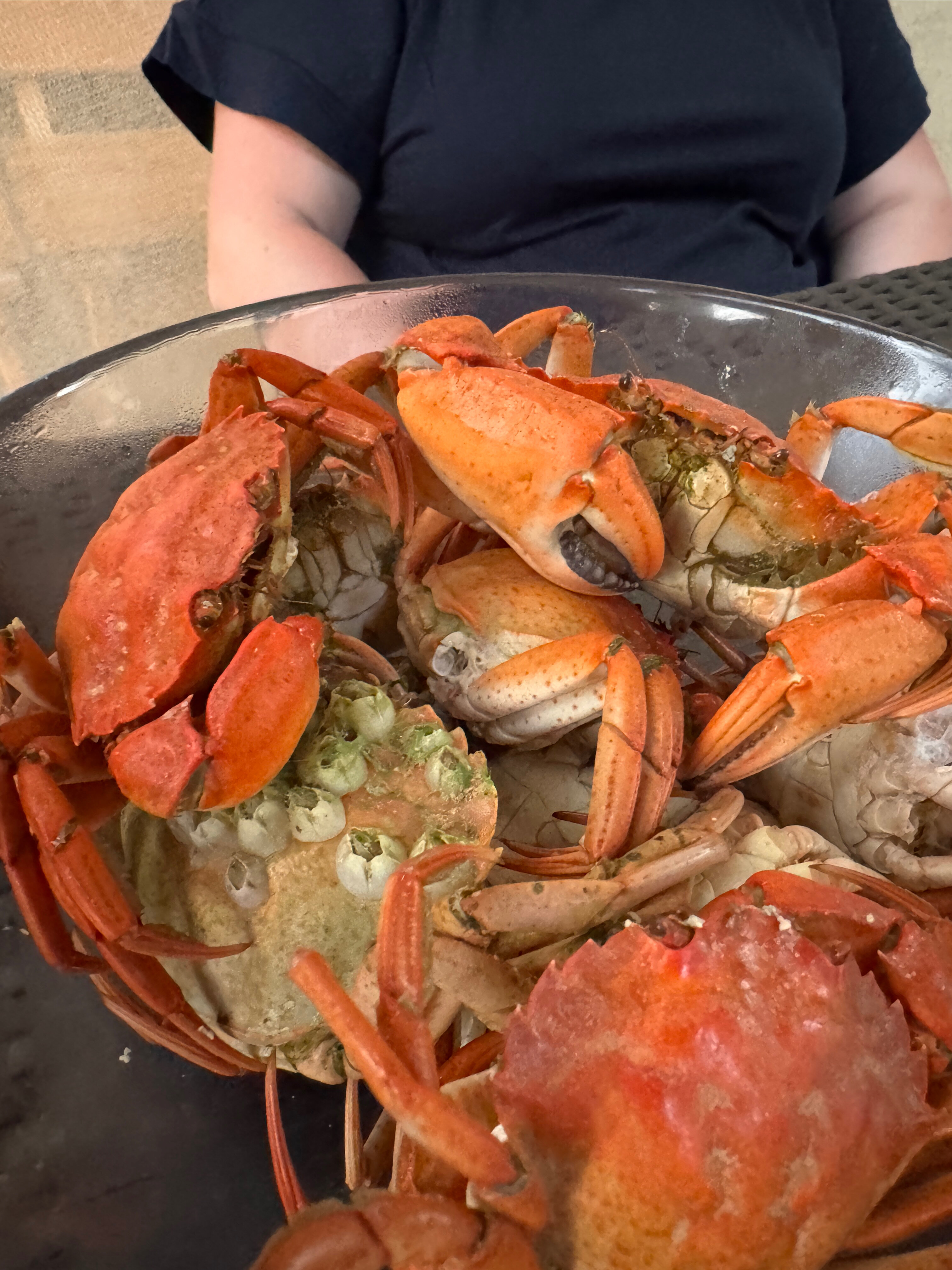 Фото Меандр