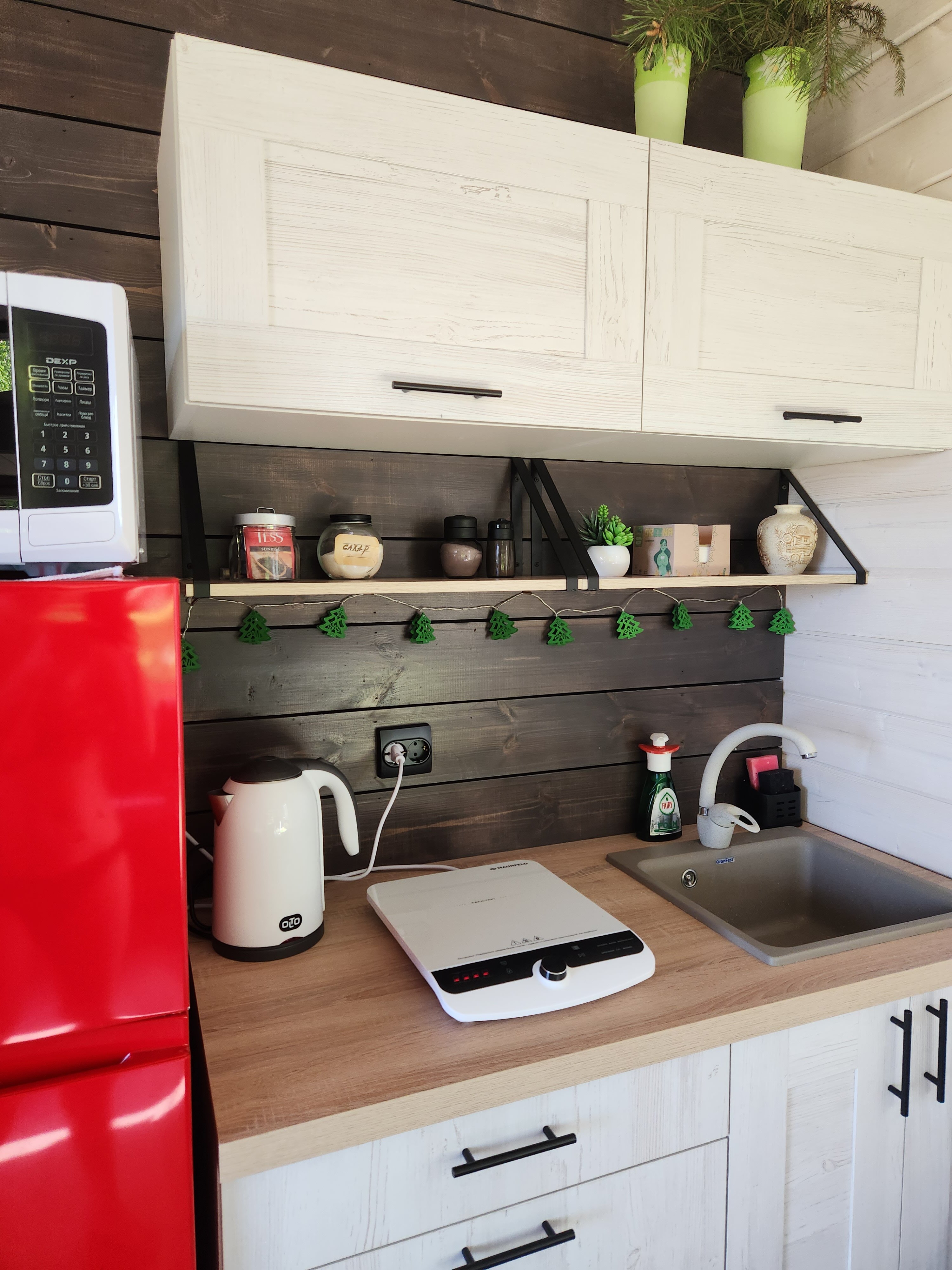 Фото Ёлки зелёные