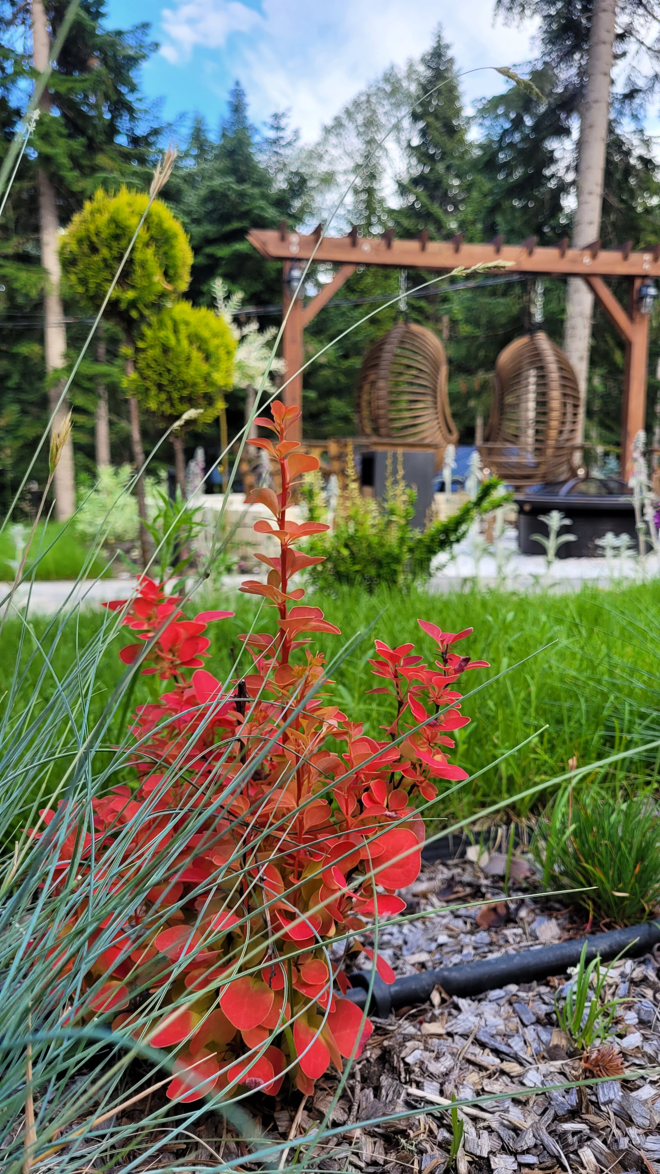 Фото Экотель Кит Шале