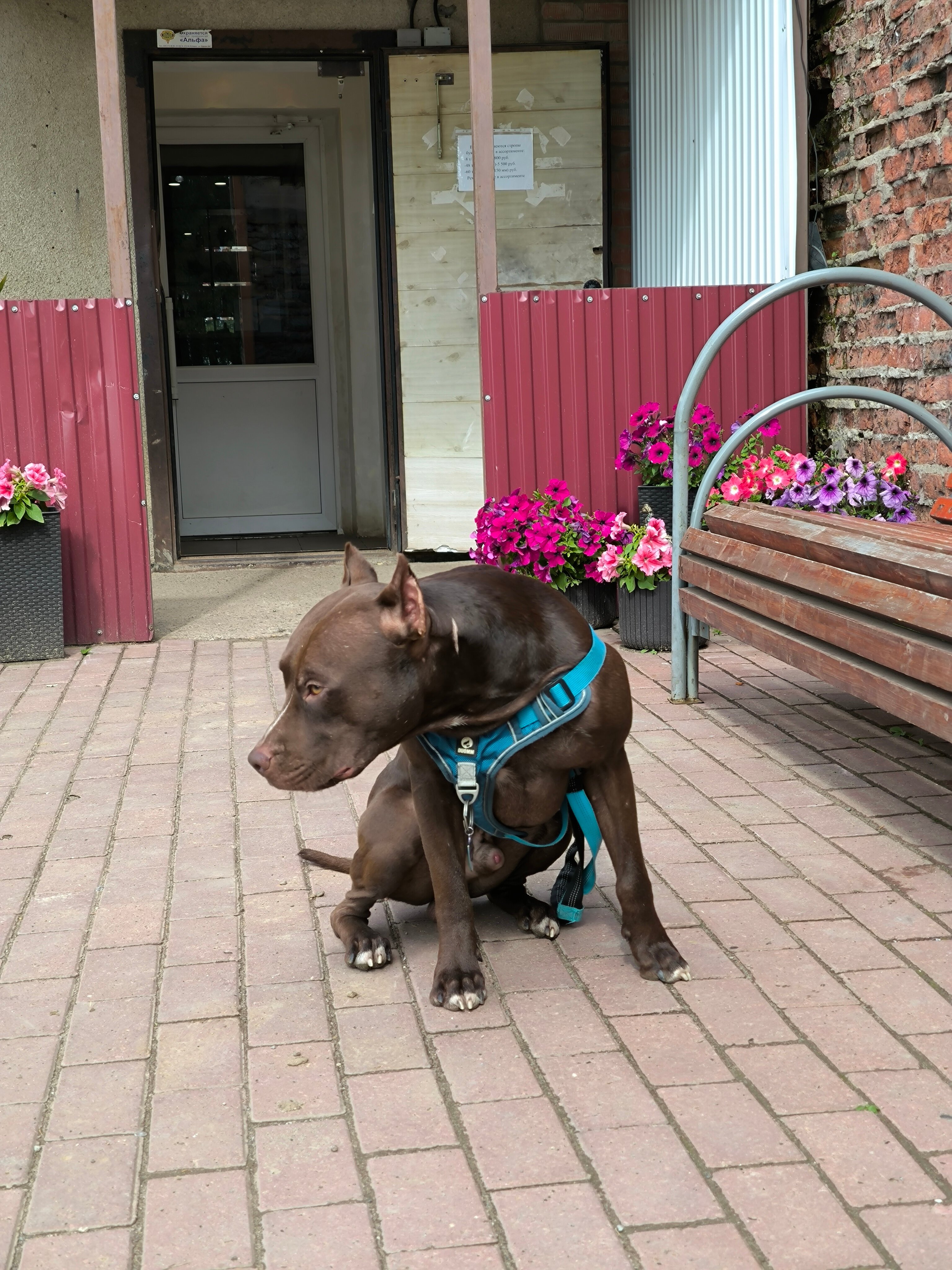 Фото Постоялый двор