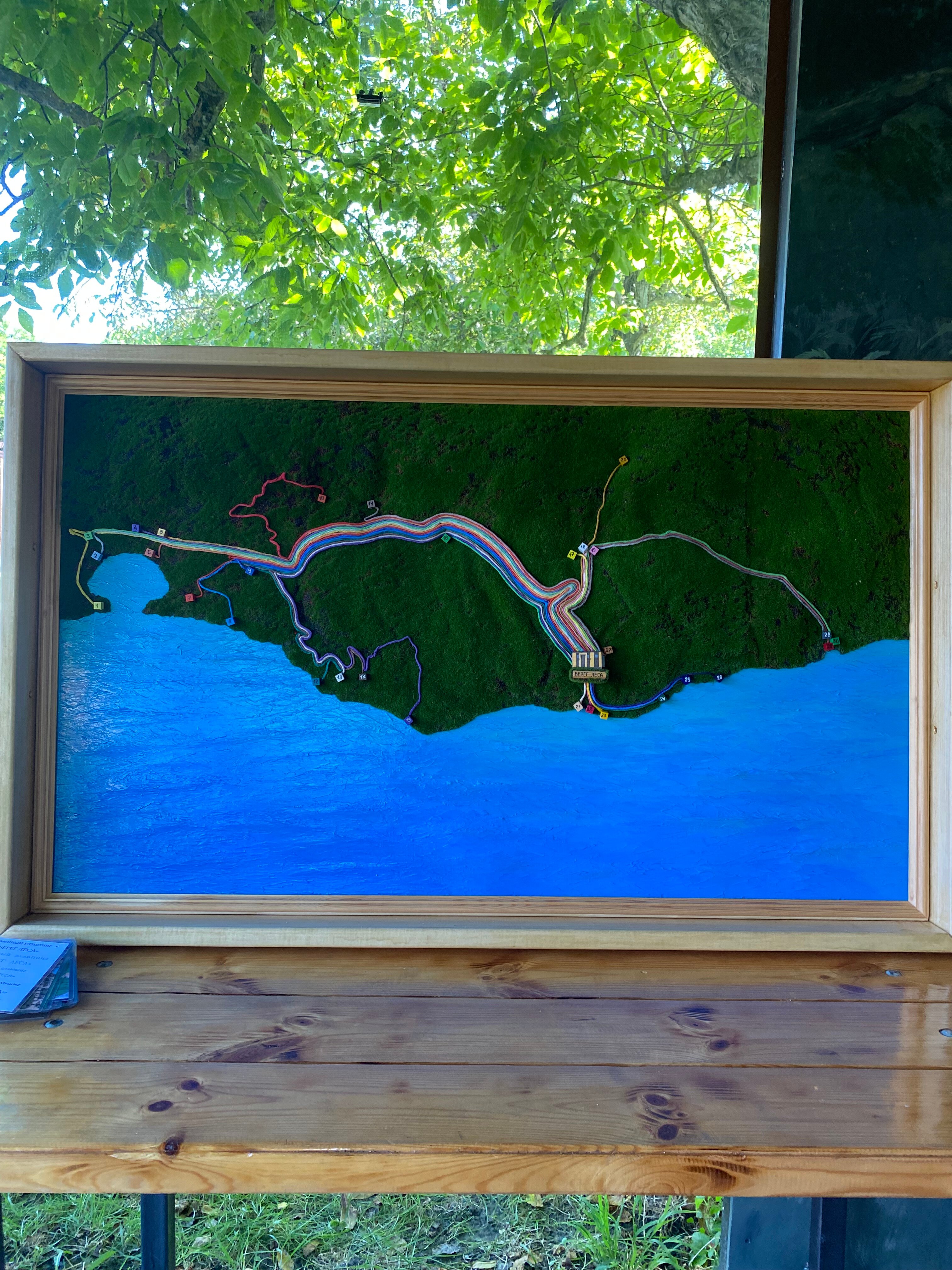 Фото Берег леса