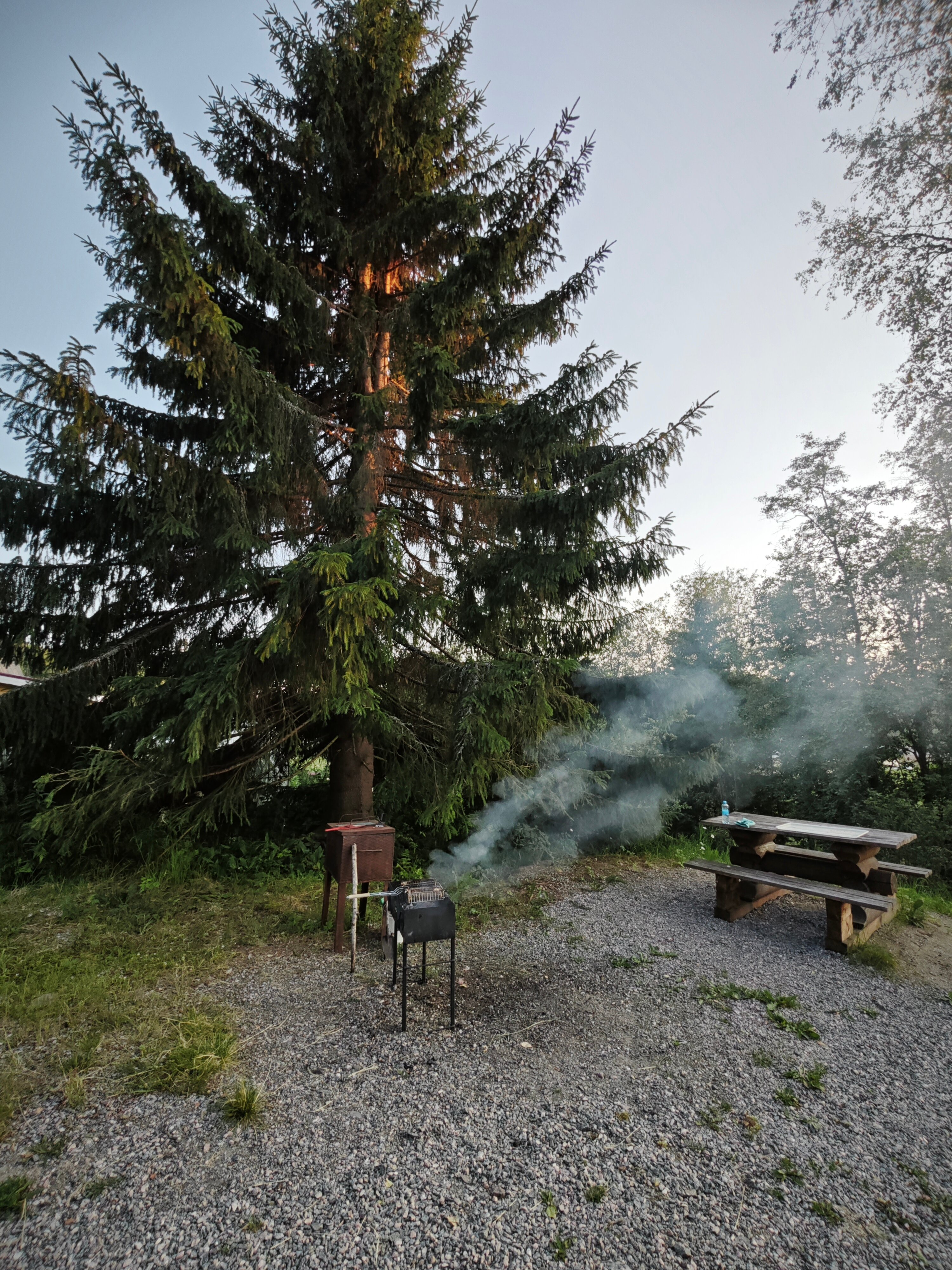 Фото Forest Park