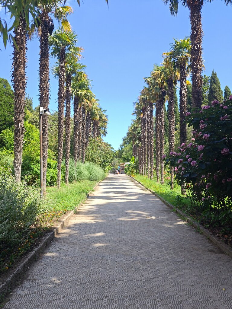 Landmark, attraction Китайский Пальмарий, Republic of Crimea, photo