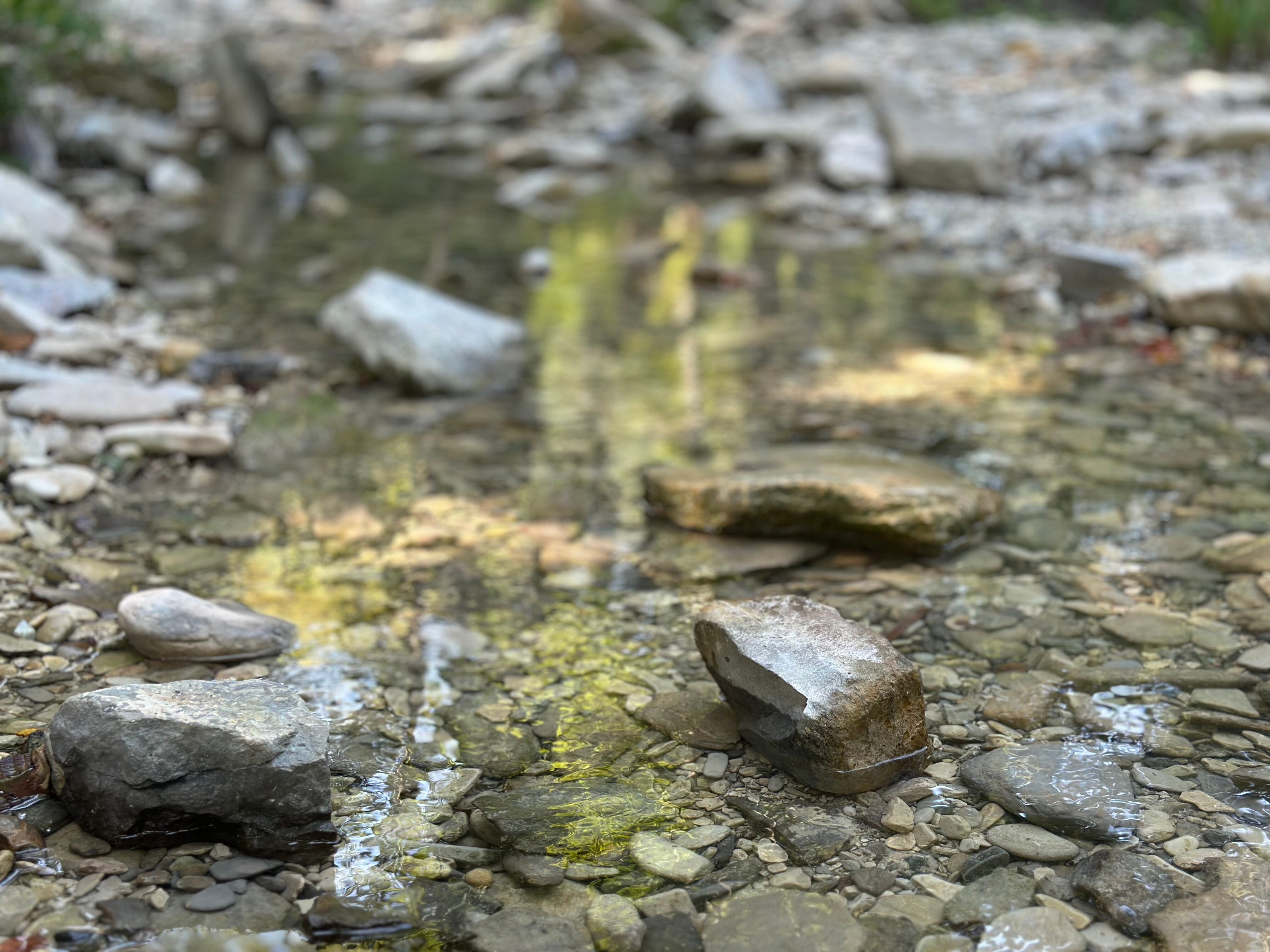 Фото Бермуды