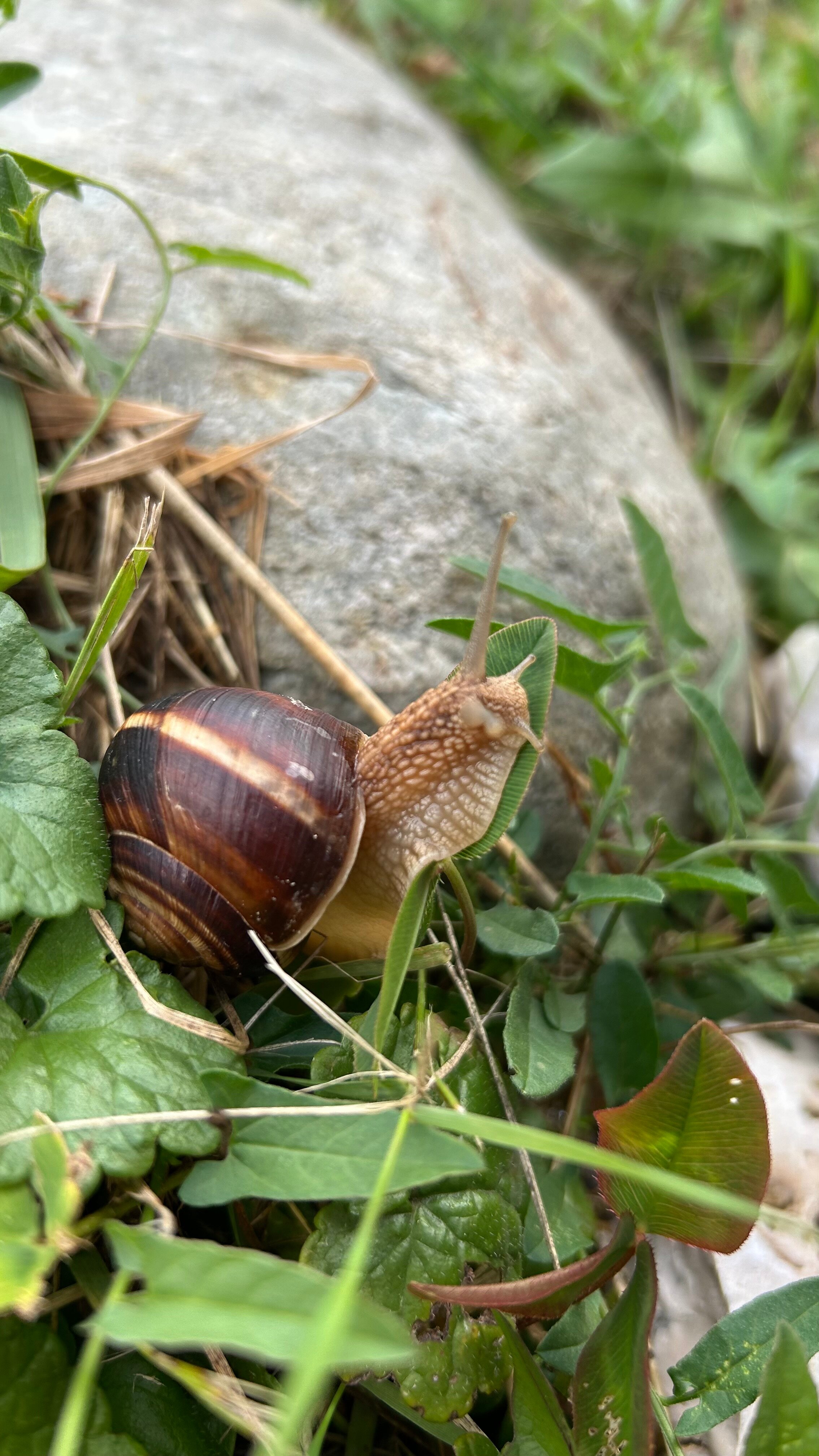 Фото Горы и точка