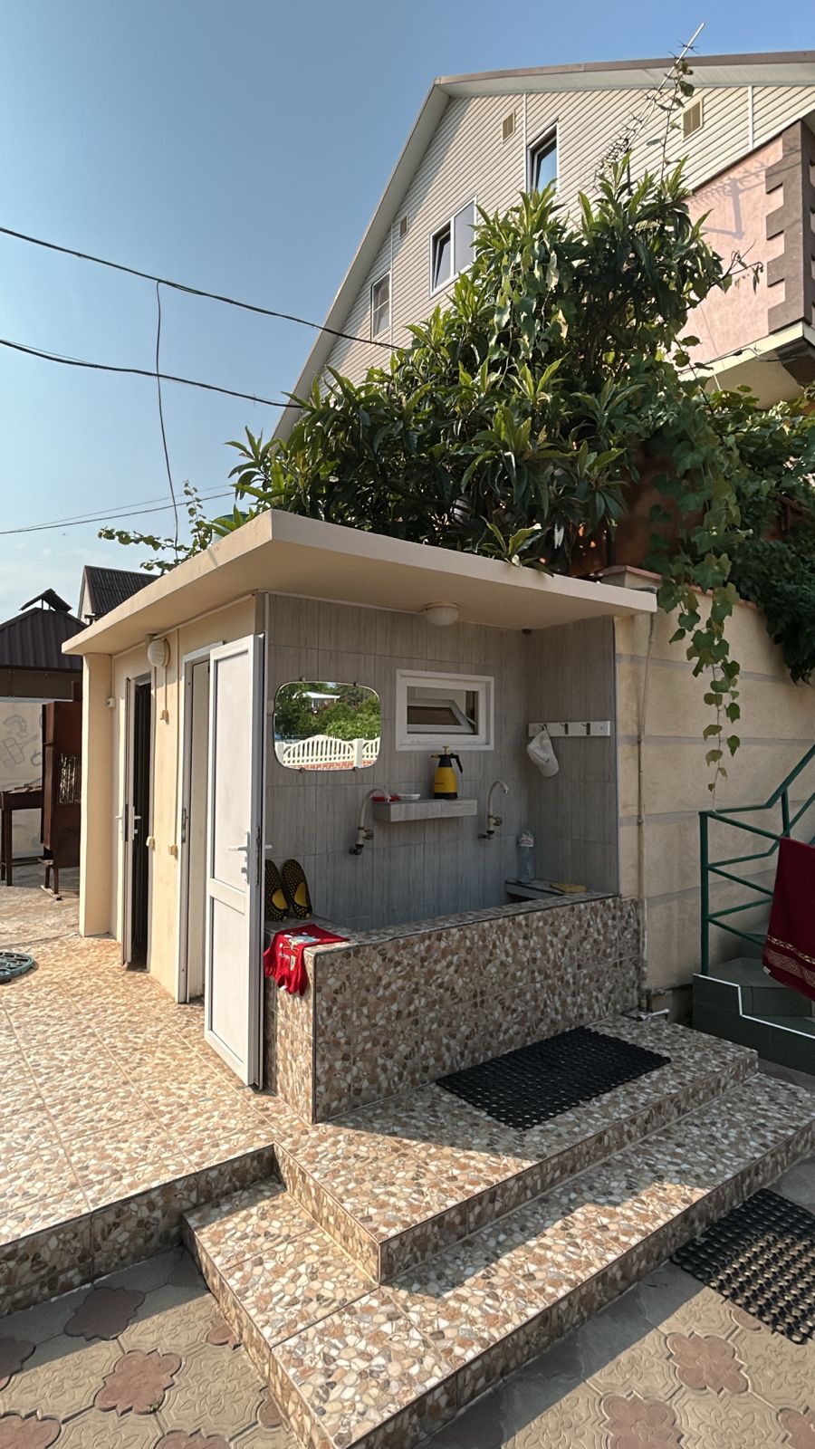 Фото Кипарис