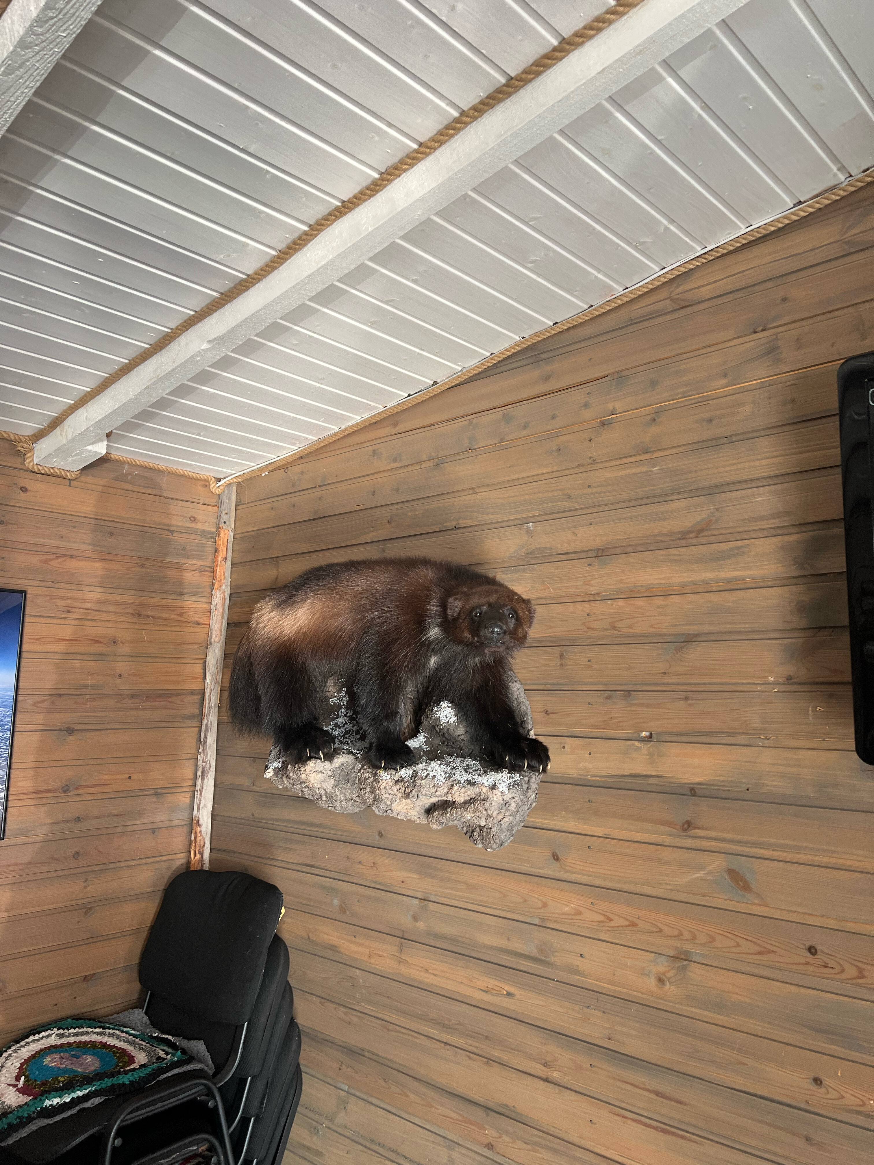 Фото Ловозеро Тур